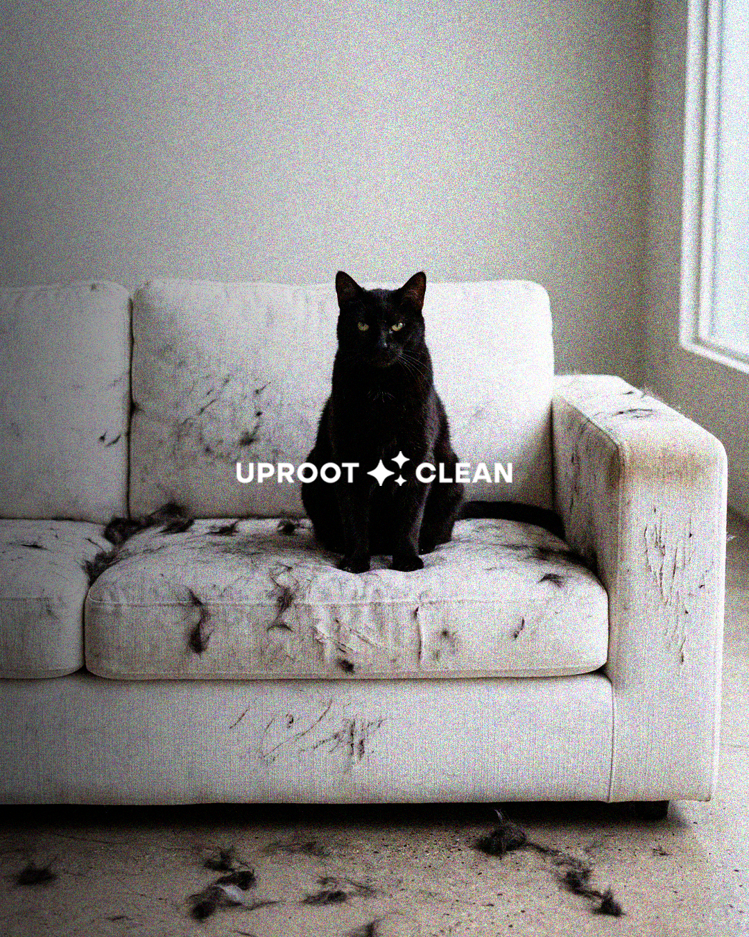 Uproot Clean Facebook ad