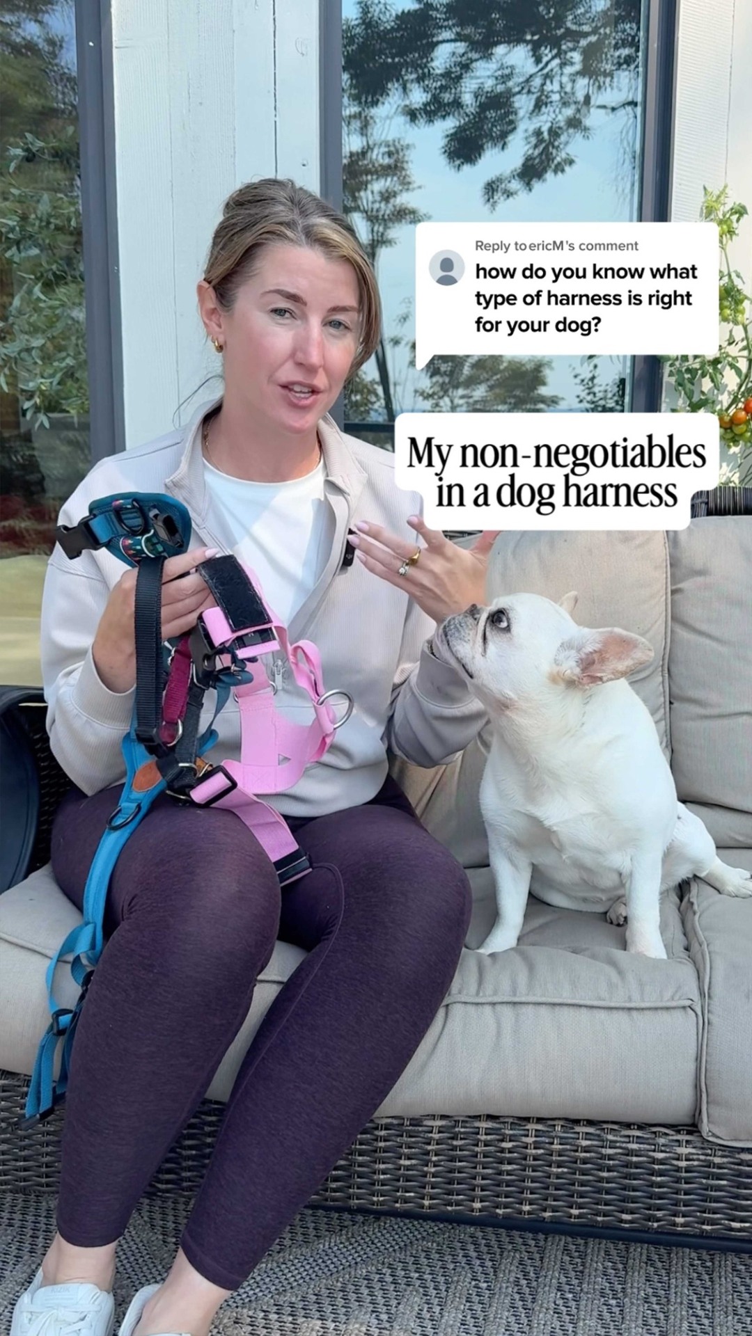 Wilderdog Facebook ad: Dog Harness