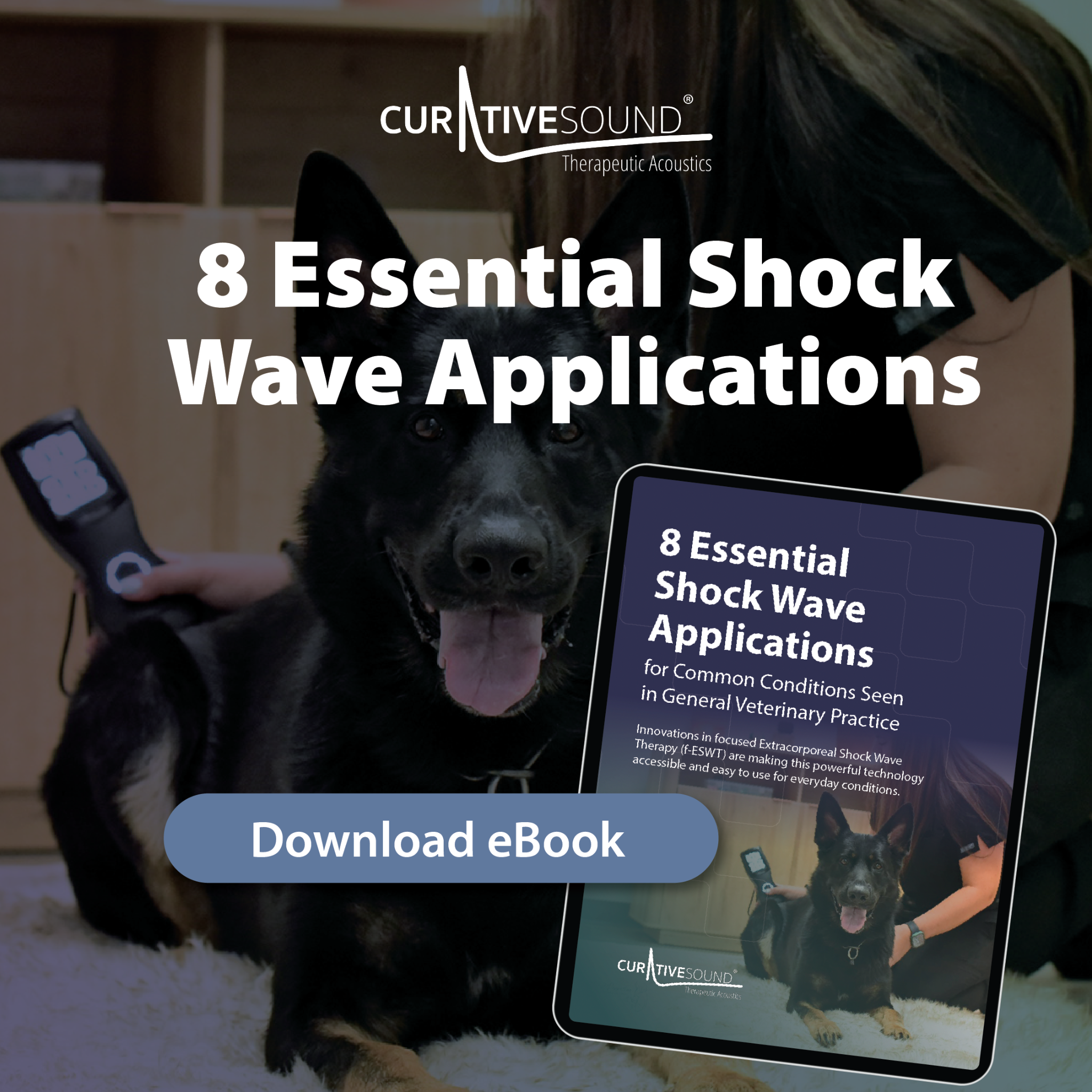 Curative Sound Veterinary Facebook ad: Veterinary Shockwave for General Practitioners
