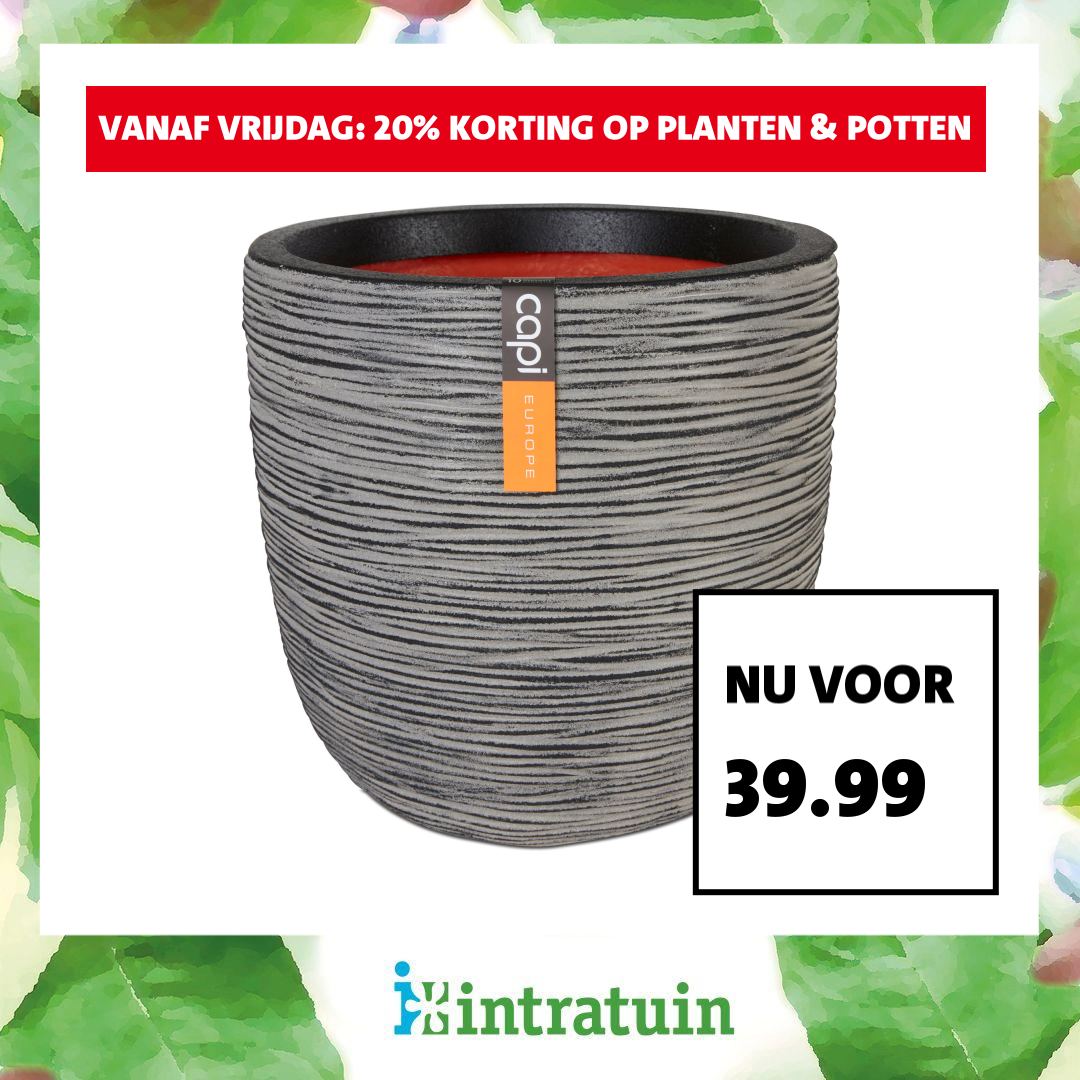 Intratuin Facebook ad