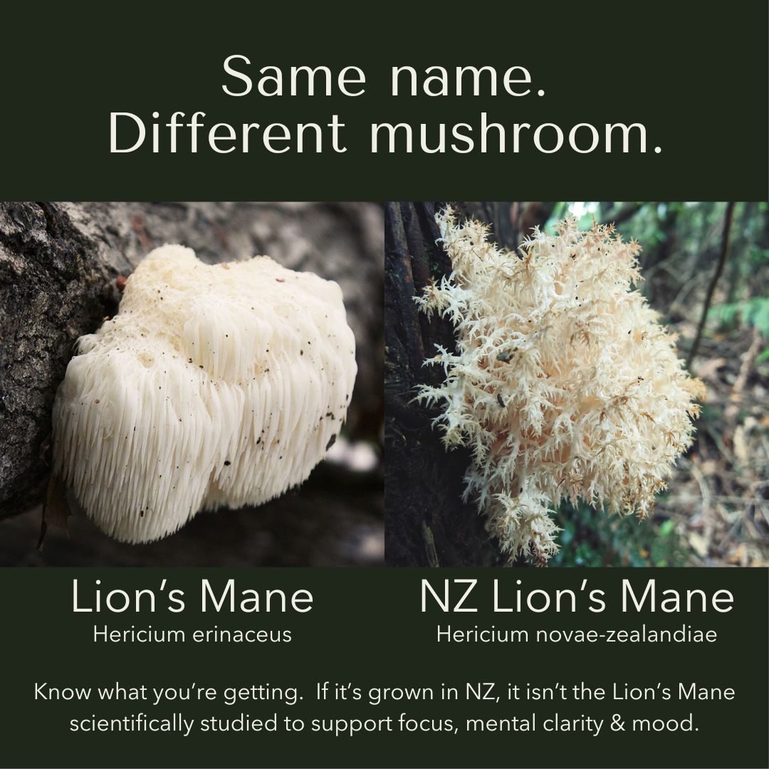 Flow State NZ Facebook ad