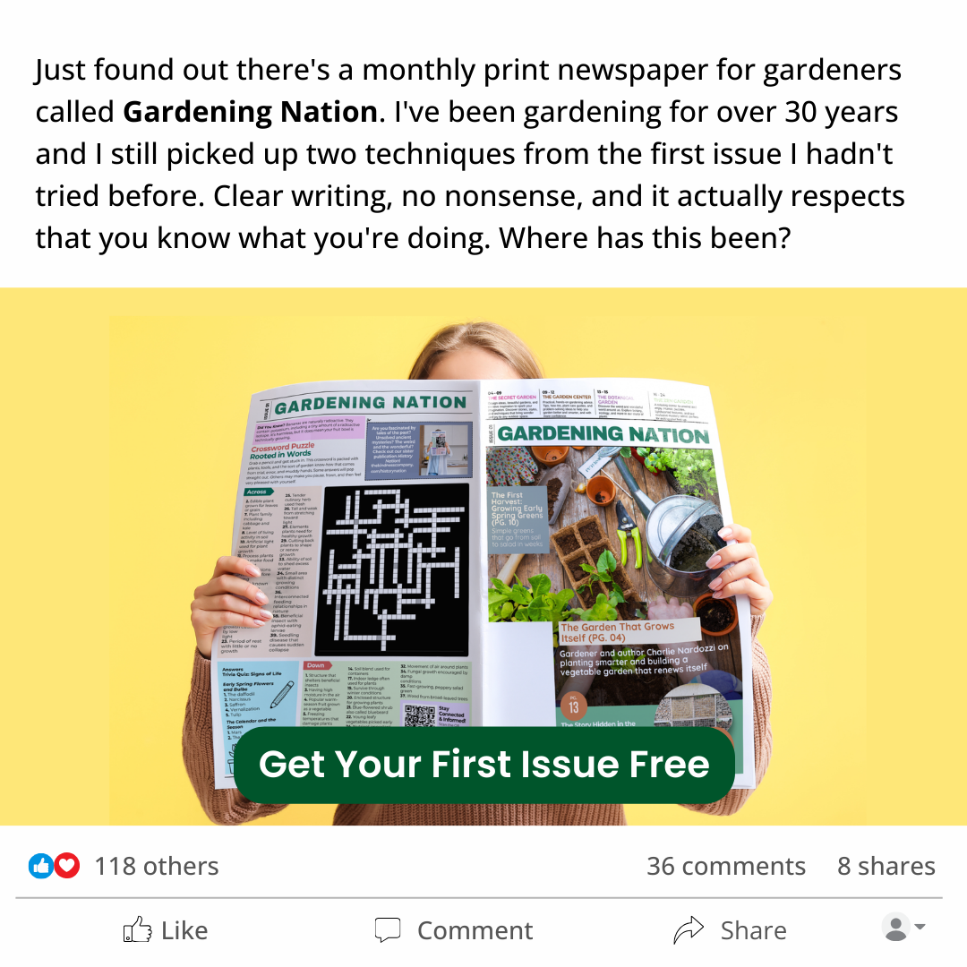 The Kindness Company Facebook ad