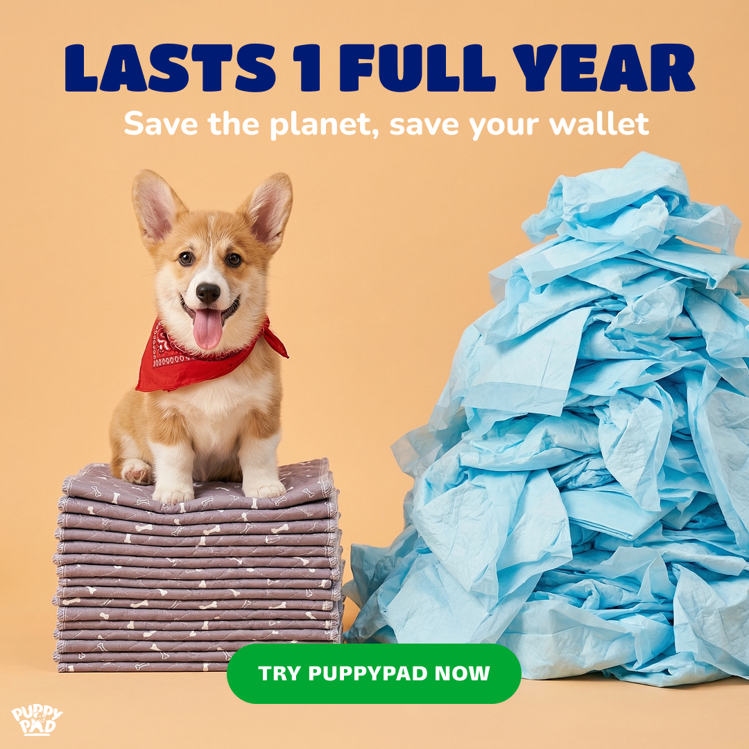 PuppyPad Facebook ad