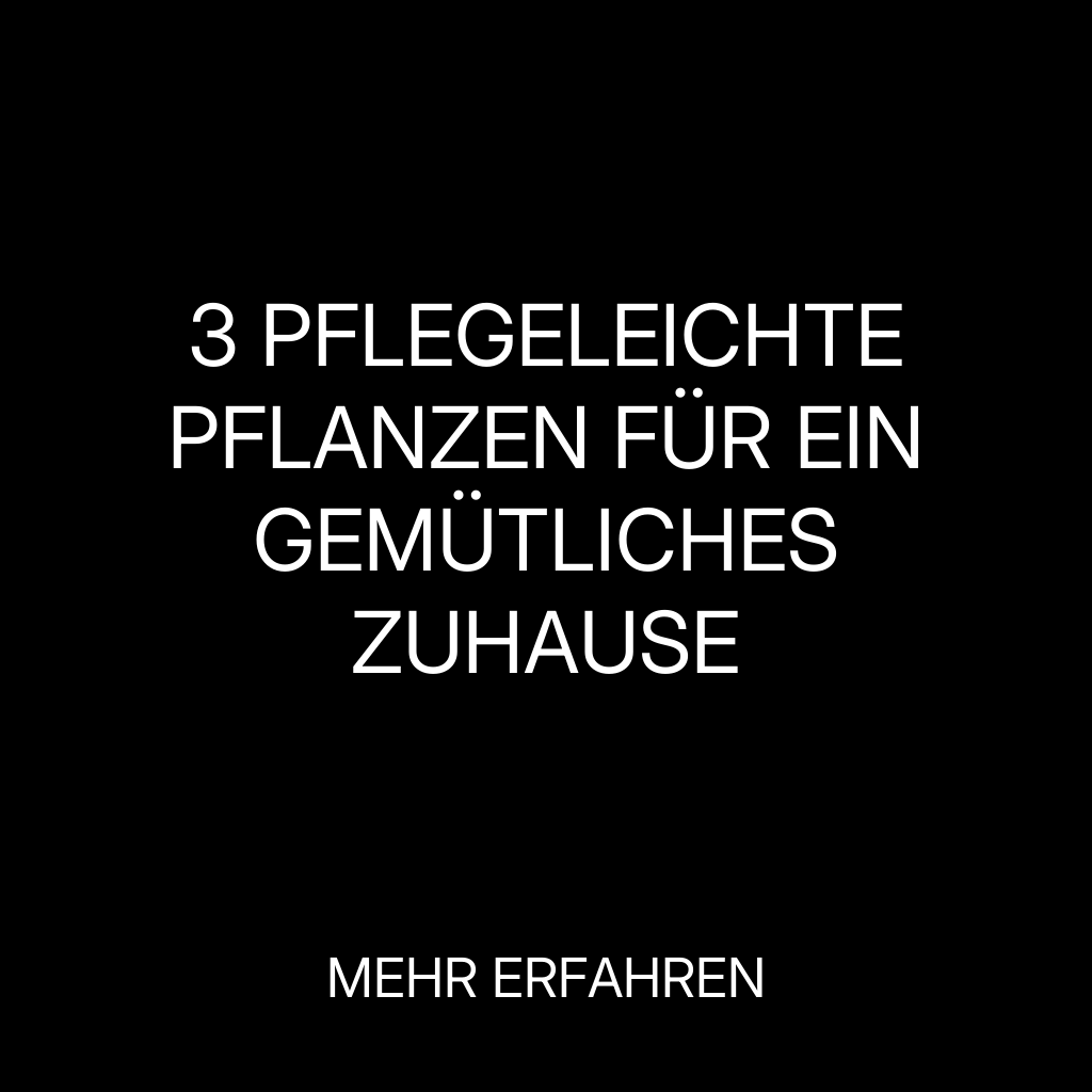 Simply Explained Facebook ad: Pflegeleichte Pflanzen für Ihr Zuhause