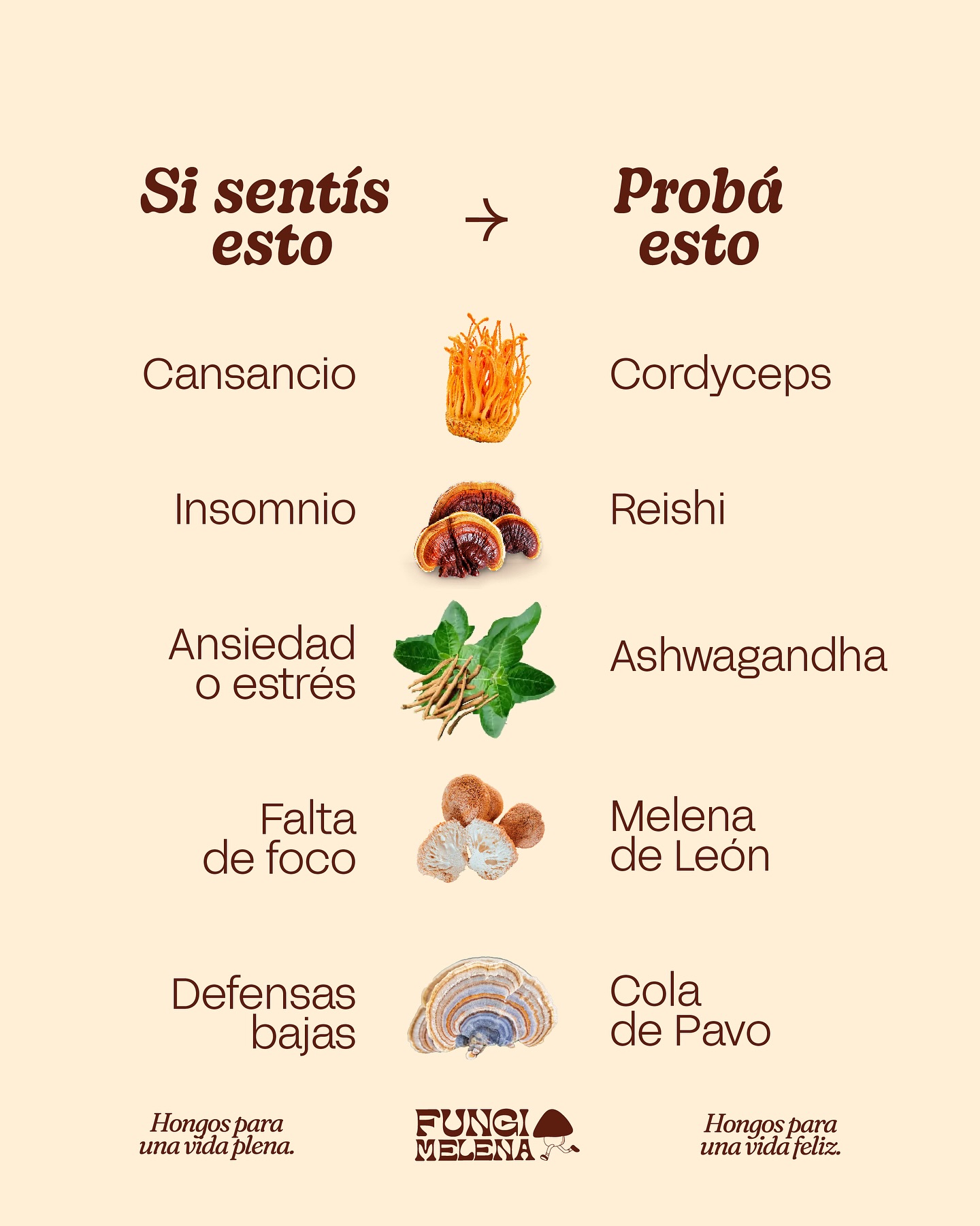 FungiMelena Facebook ad: Fungi Melena | Adaptógenos y Hongos Funcionales para el…