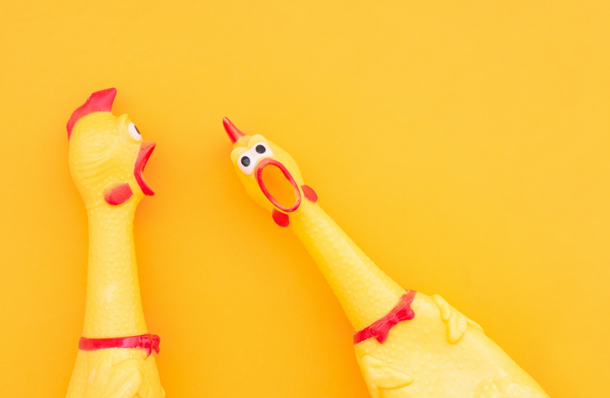 The Bird Facebook ad: At The Bird we focus on a tight…
