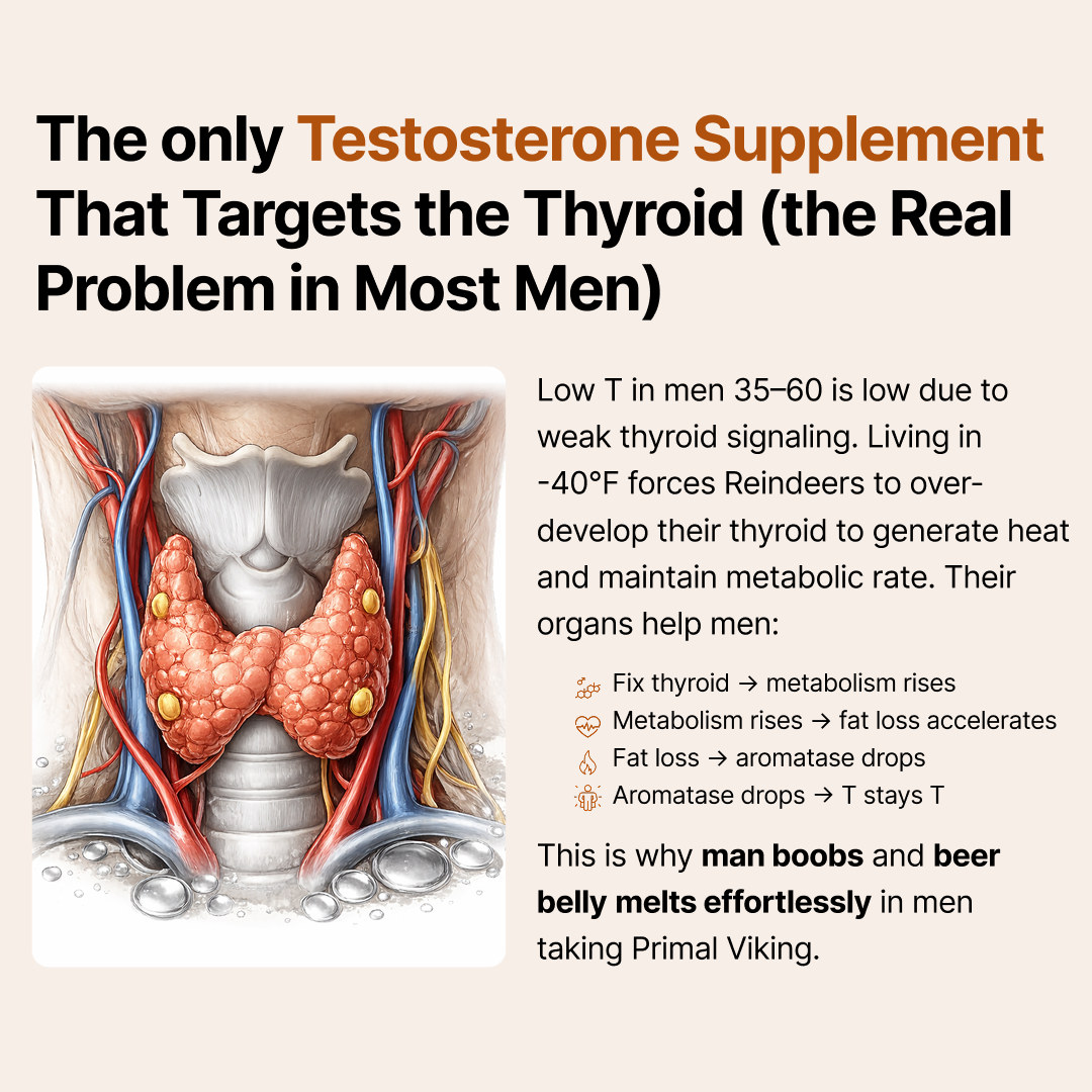 Primal Viking Facebook ad