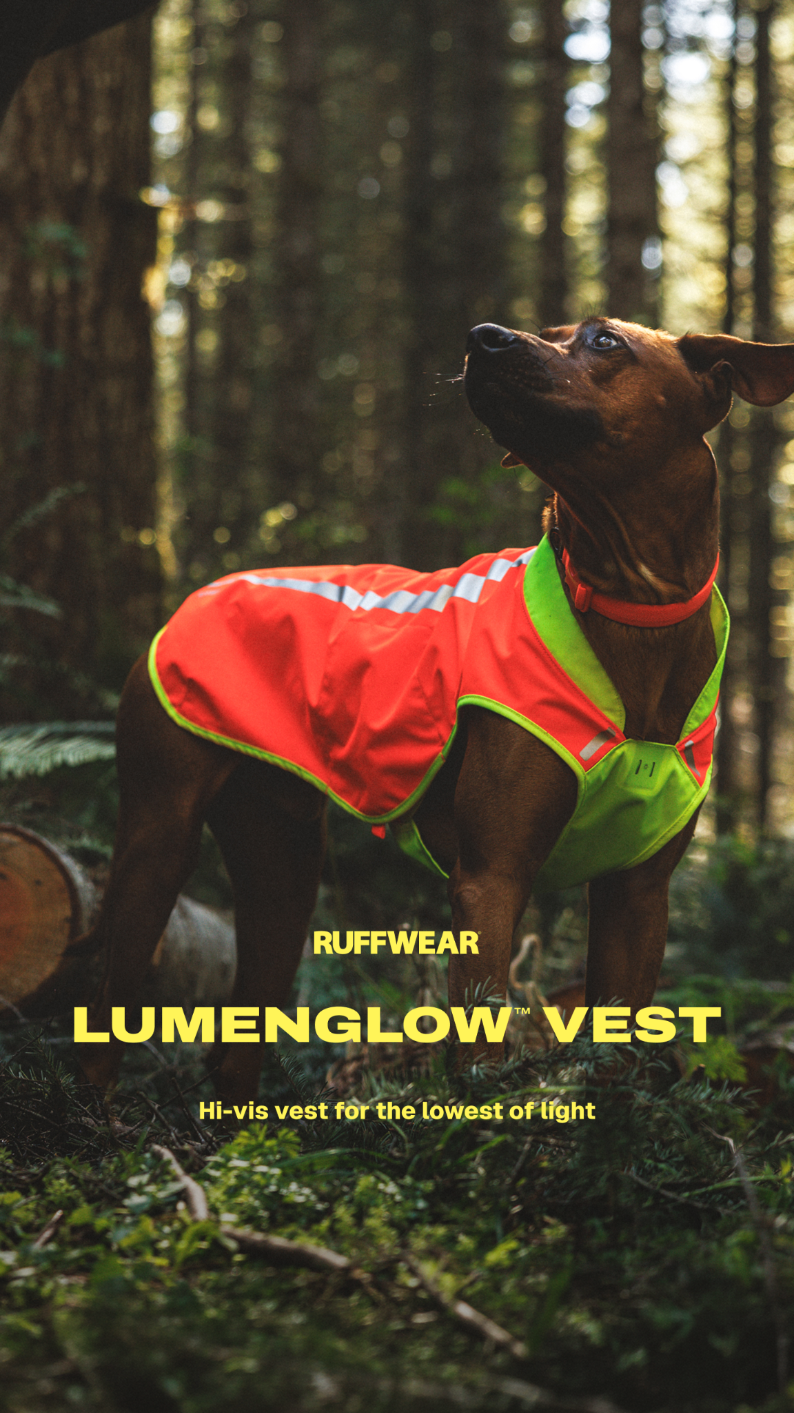 Ruffwear Facebook ad