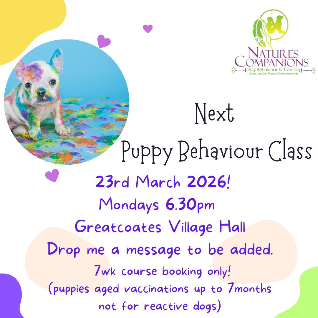 Natures Companions: Dog Behaviour Solutions, Grimsby. Facebook ad: New March Puppy Class date Is live for…