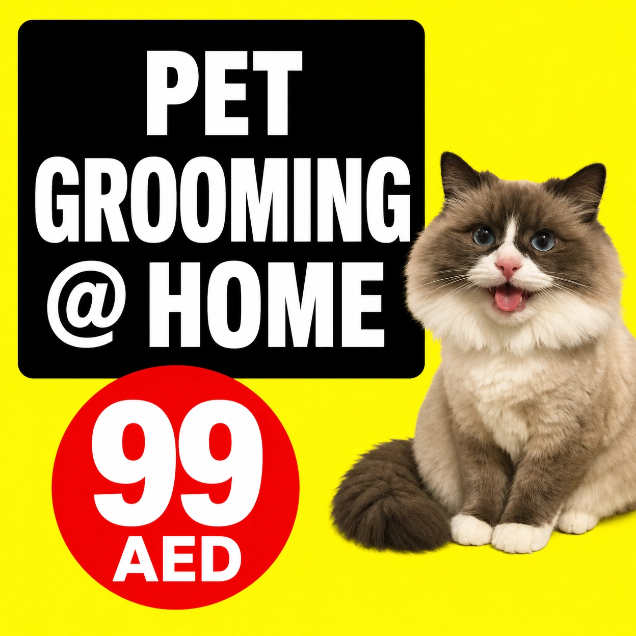 Mr. Groomer - Professional Pet Grooming at Home Facebook ad