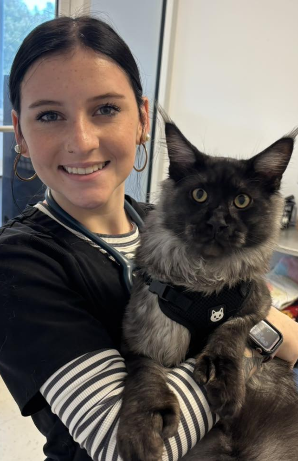 Paws & Care Vet Facebook ad