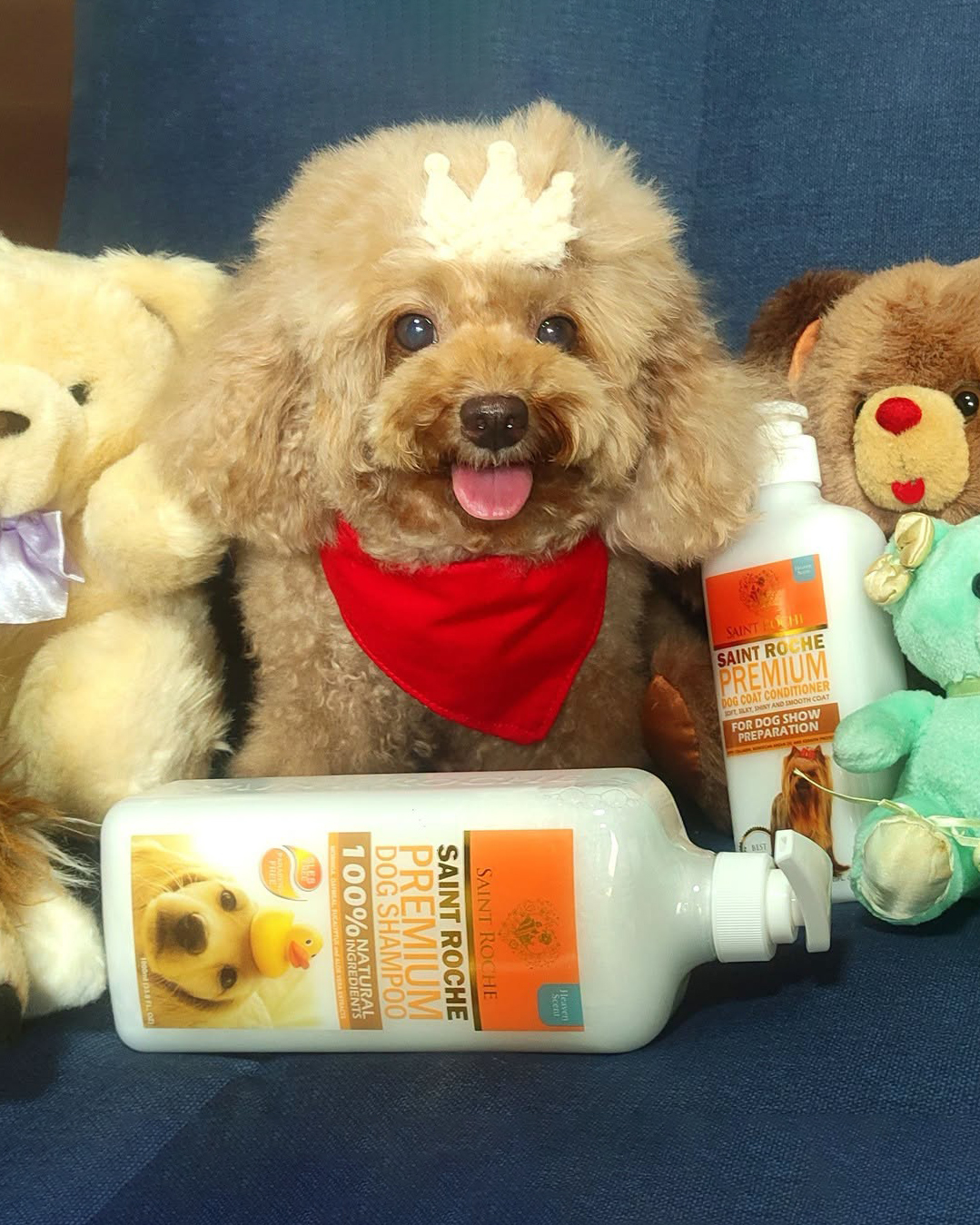 Saint Roche Premium Dog Shampoo Facebook ad