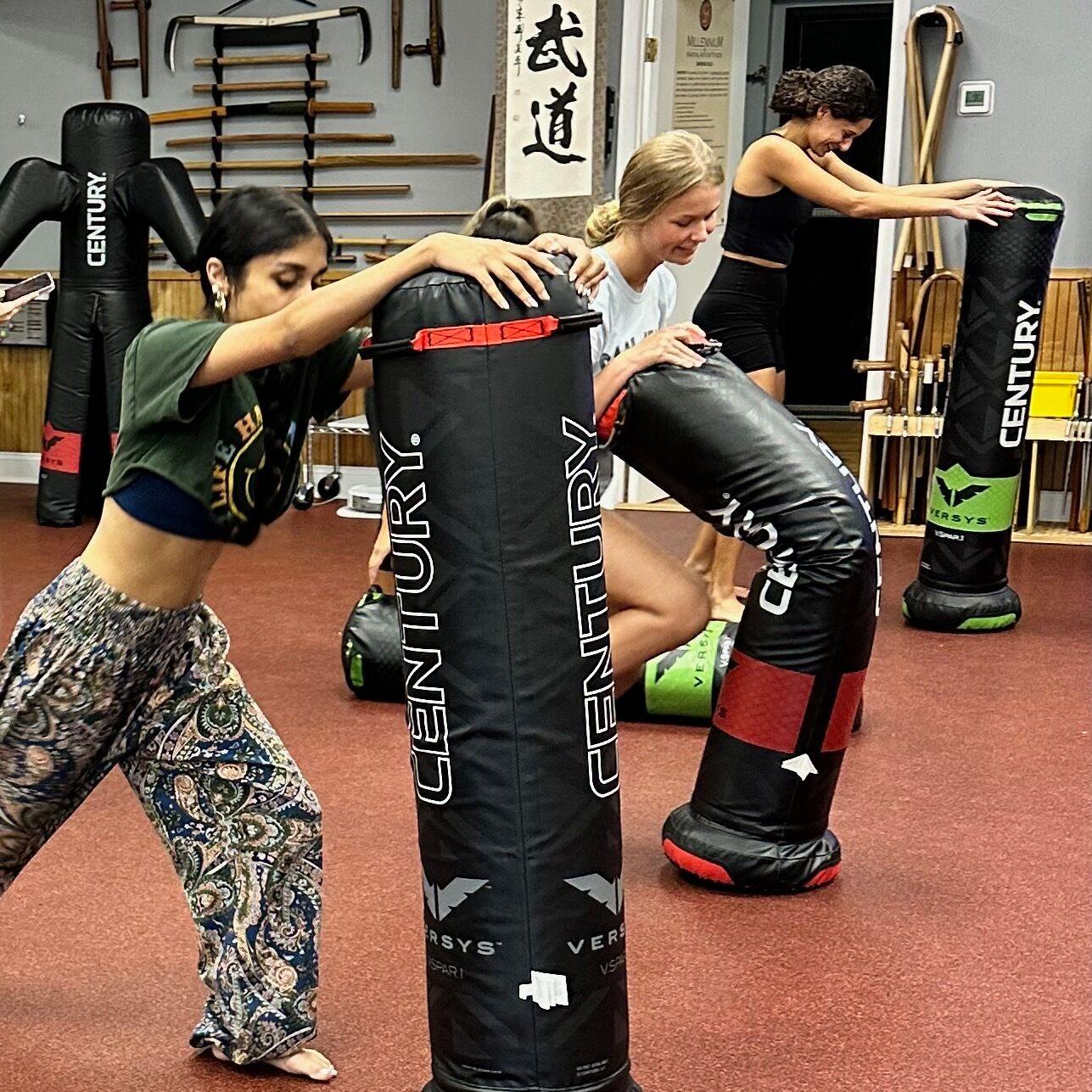 Millennium Martial Arts Kids Karate Classes Facebook ad