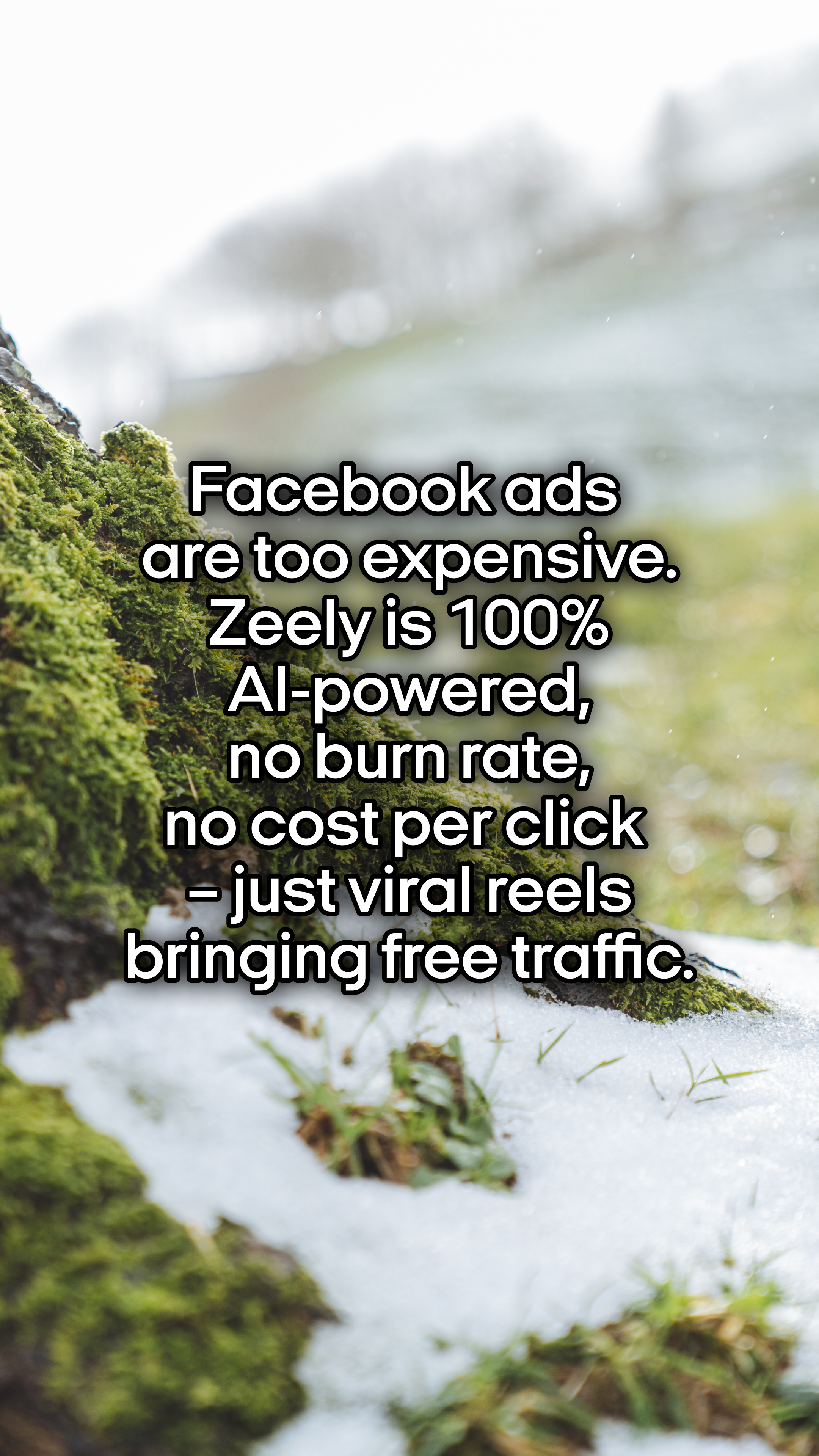 Zeely Facebook ad