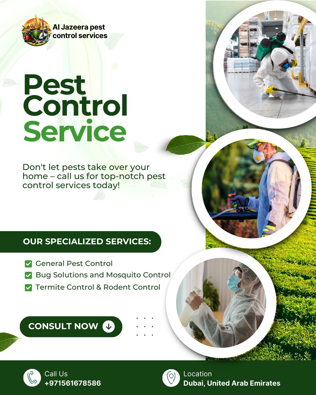 Al Jazeera pest control services Facebook ad: Message Us