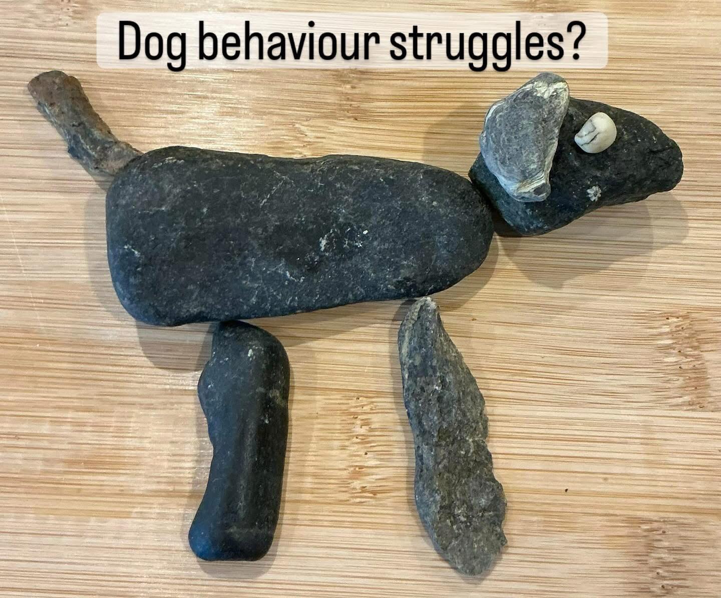 Anthony Rogers - Dog Behaviour Facebook ad: Are you struggling with your dog’s behaviour?