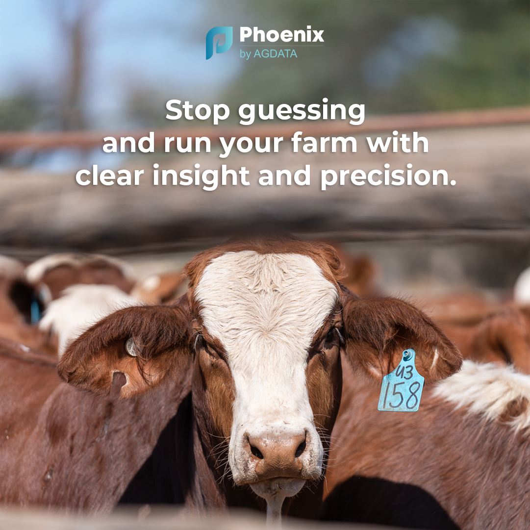 Phoenix by Agdata Facebook ad: Stop juggling notebooks, spreadsheets and half-finished…