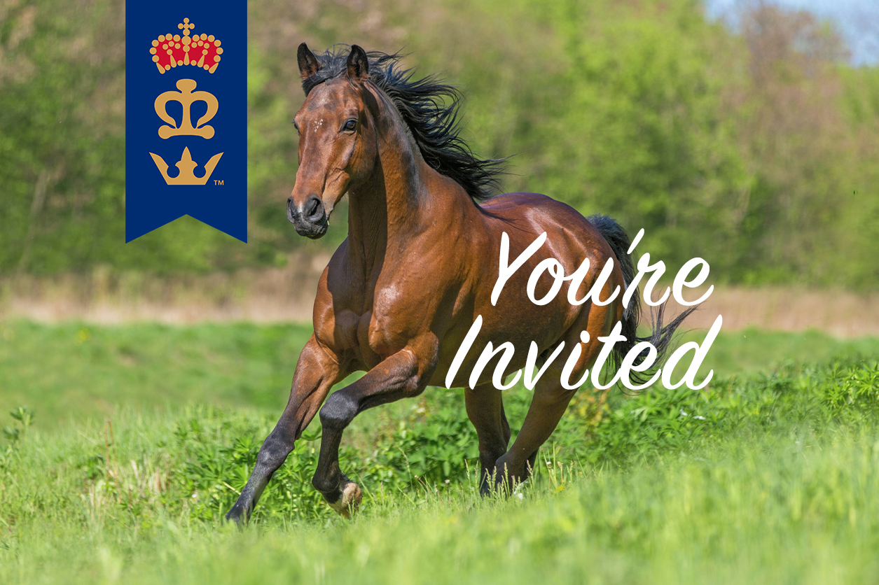 Triple Crown Feed Facebook ad: RSVP Today!