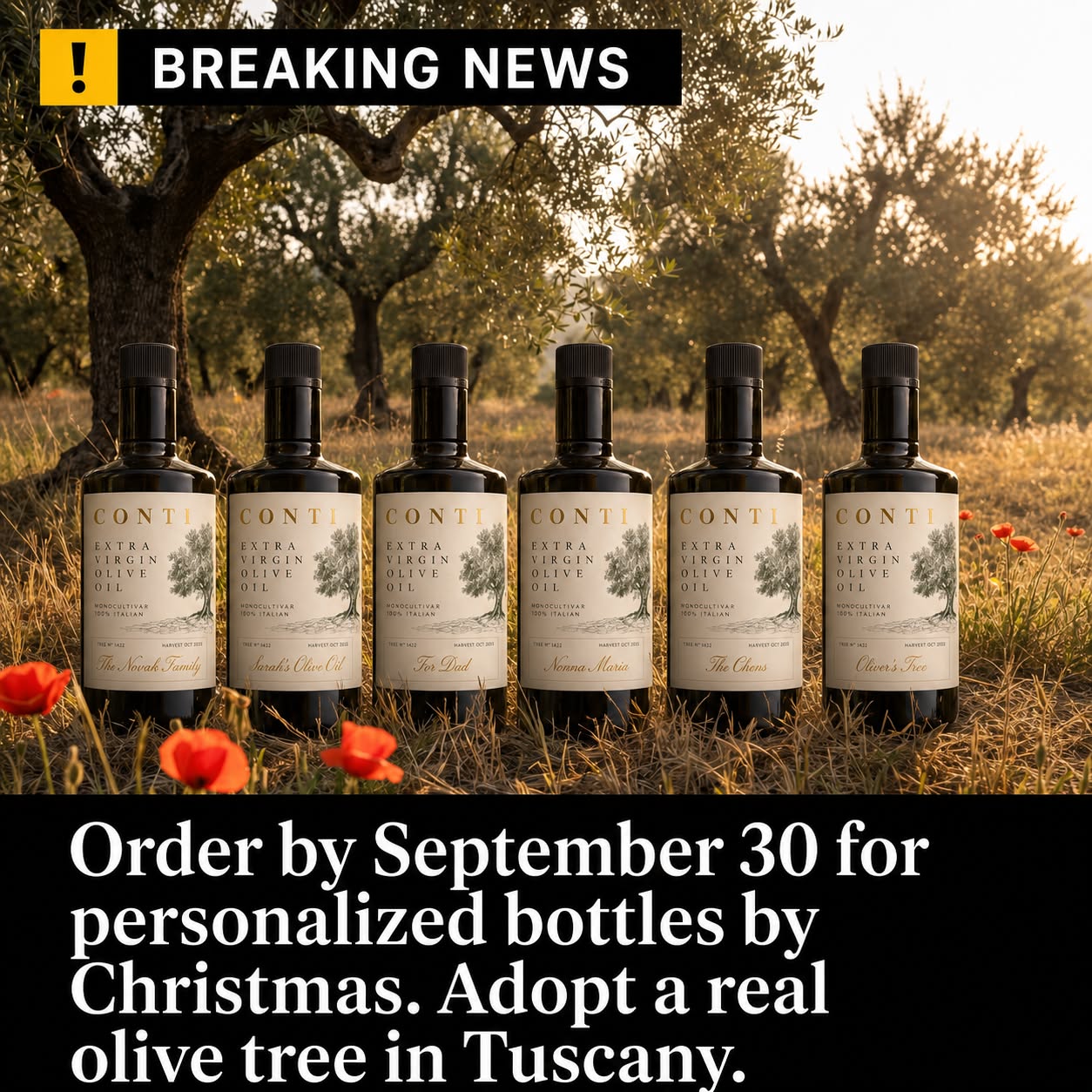 My Italian Olive Dream Facebook ad: Here Is Your Green Light