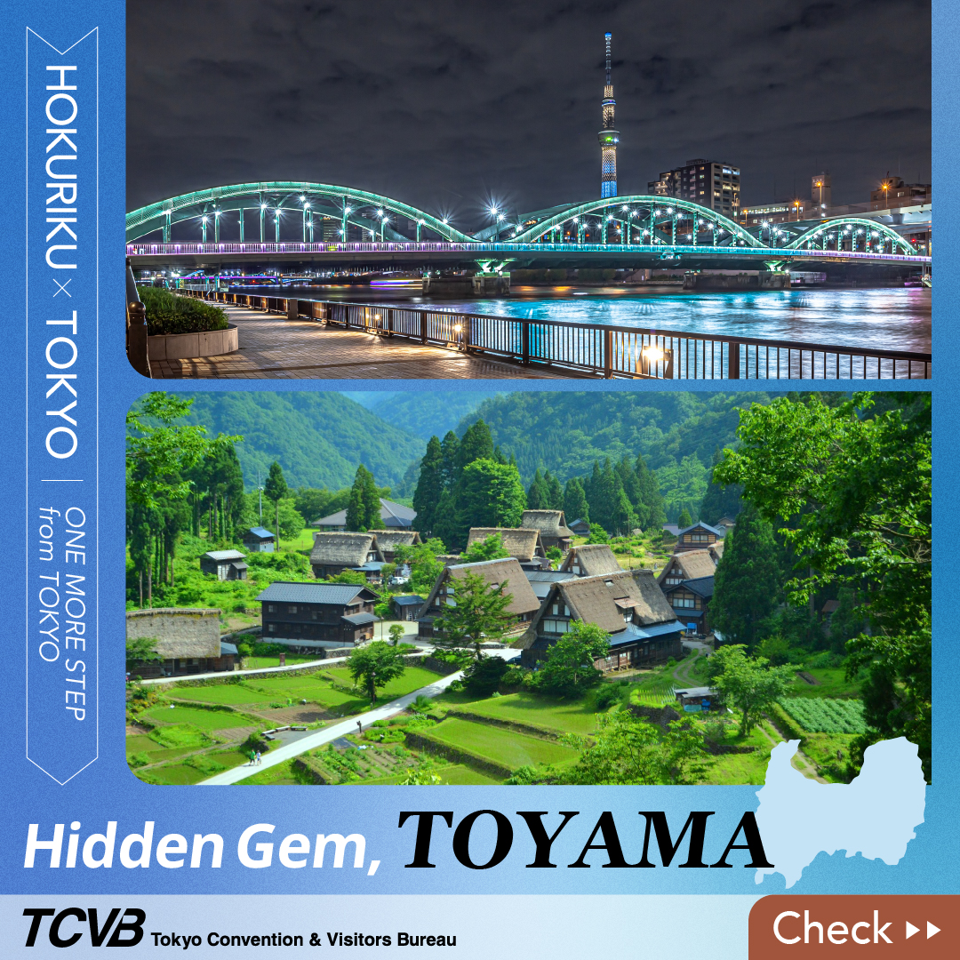 Tourism of ALL Japan×tokyo Facebook ad: Your Kind of Japan Trip