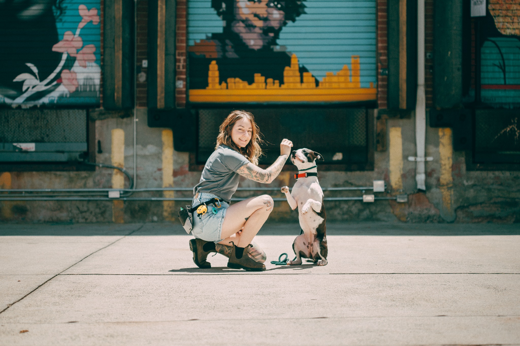 Charlotte Dog Wizard Facebook ad
