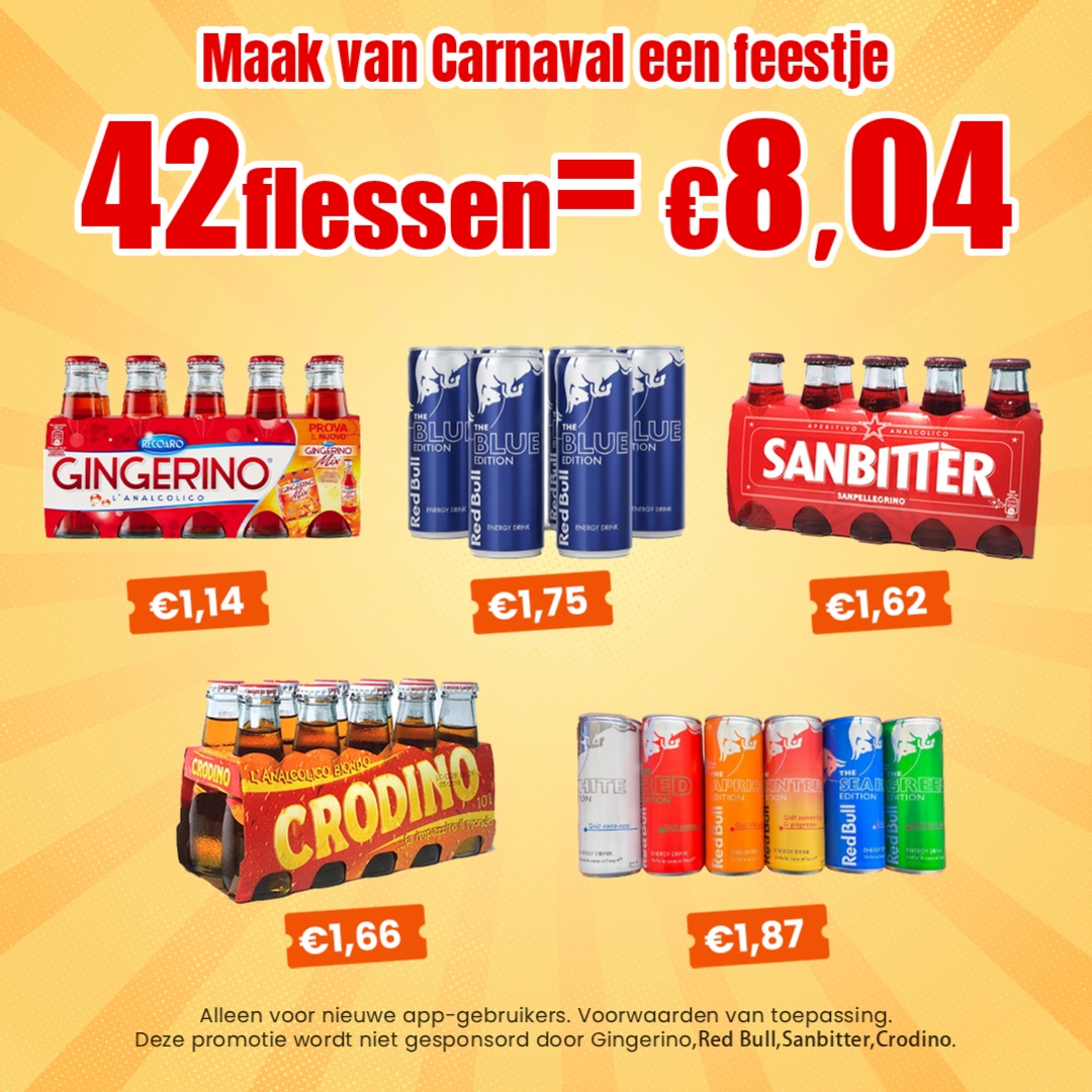 Temu Netherlands Facebook ad