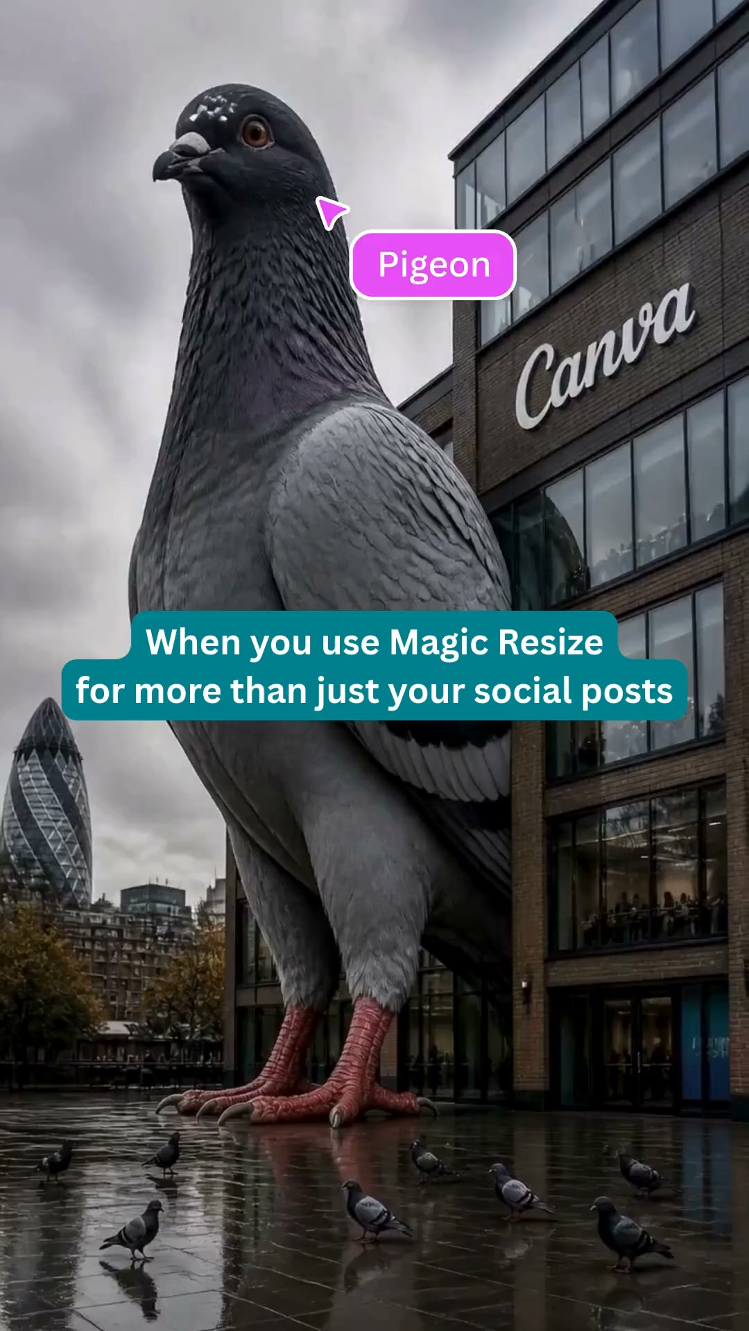 Canva Facebook ad from Aug 25, 2026