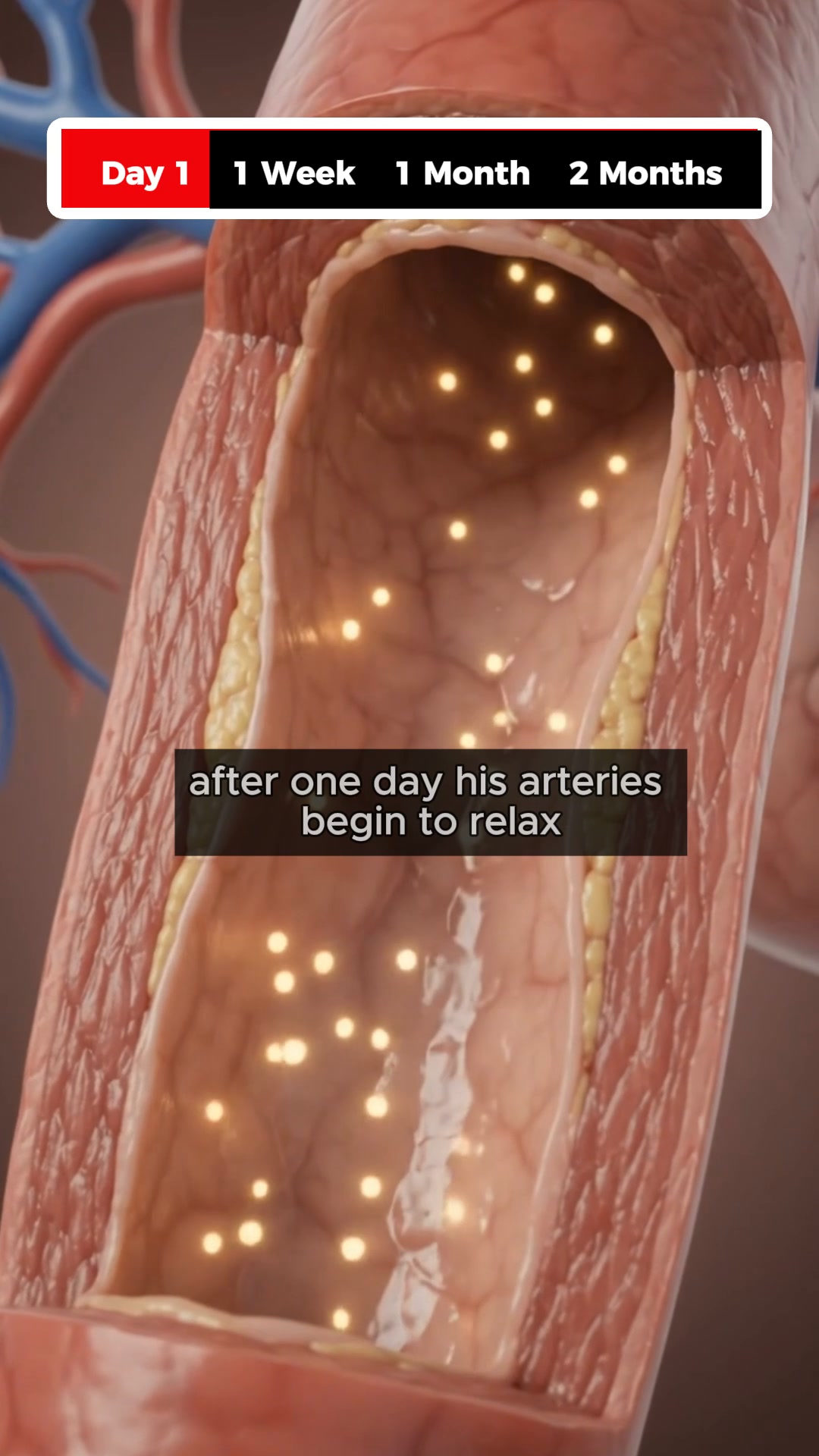 Vascular Wellness Report Facebook ad: Explore the Power of Aged Garlic Today!