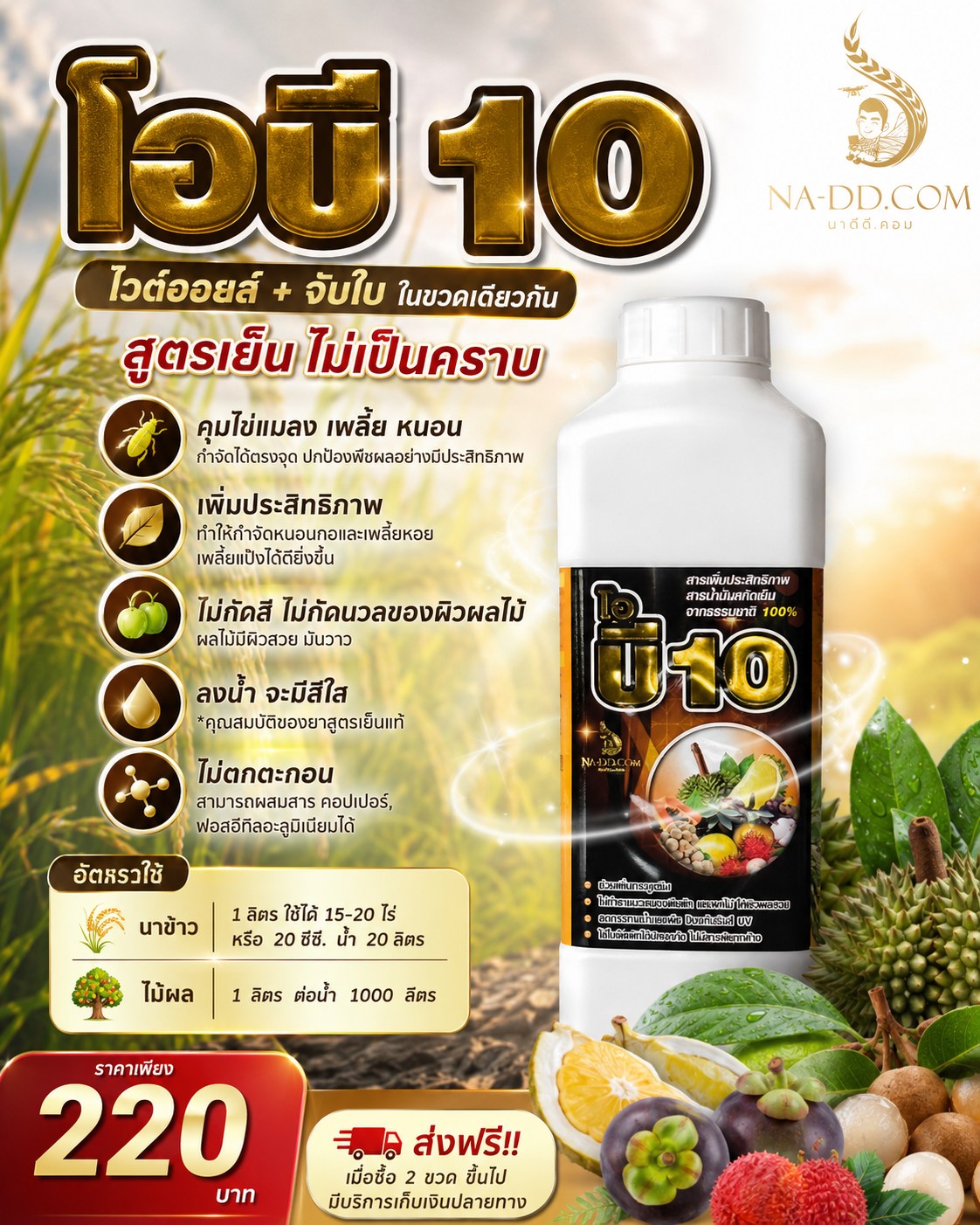 นาดีดี.คอม Facebook ad: OB10 ไวต์ออยล์ + จับใบ ในขวดเดียวกัน