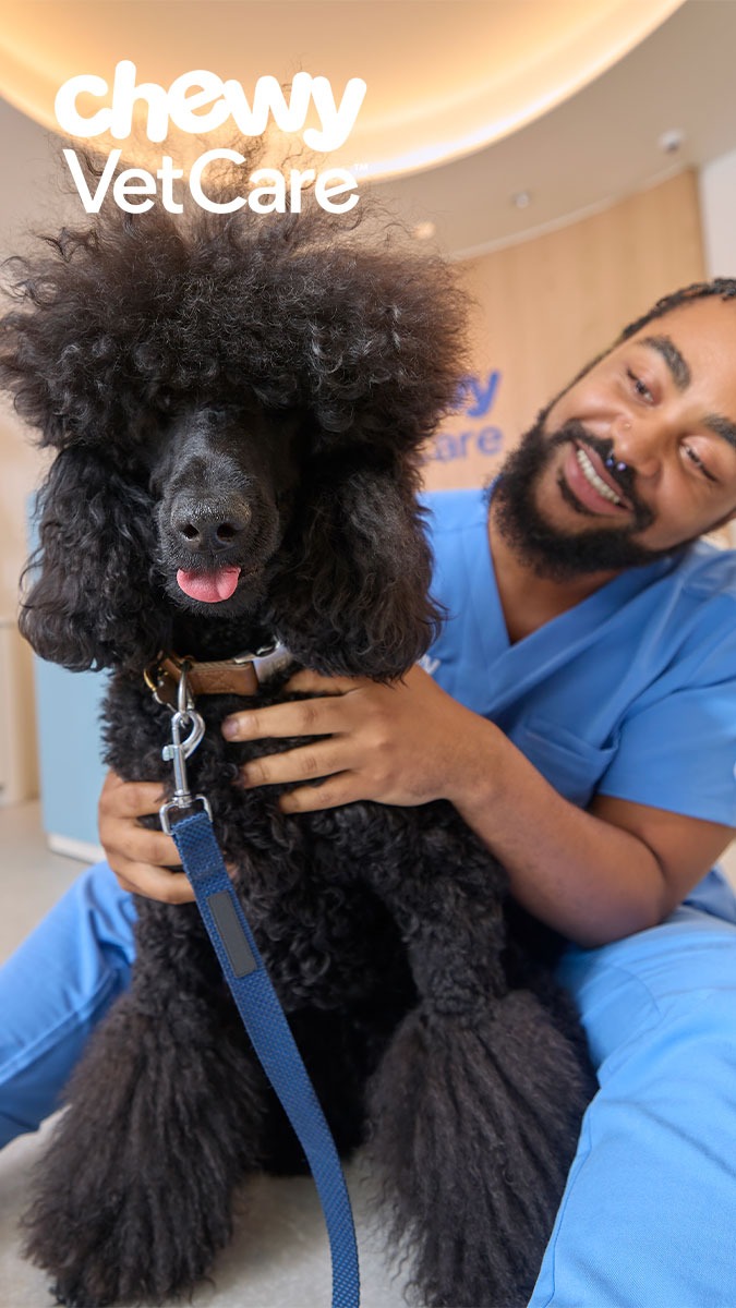 Chewy Vet Care Facebook ad