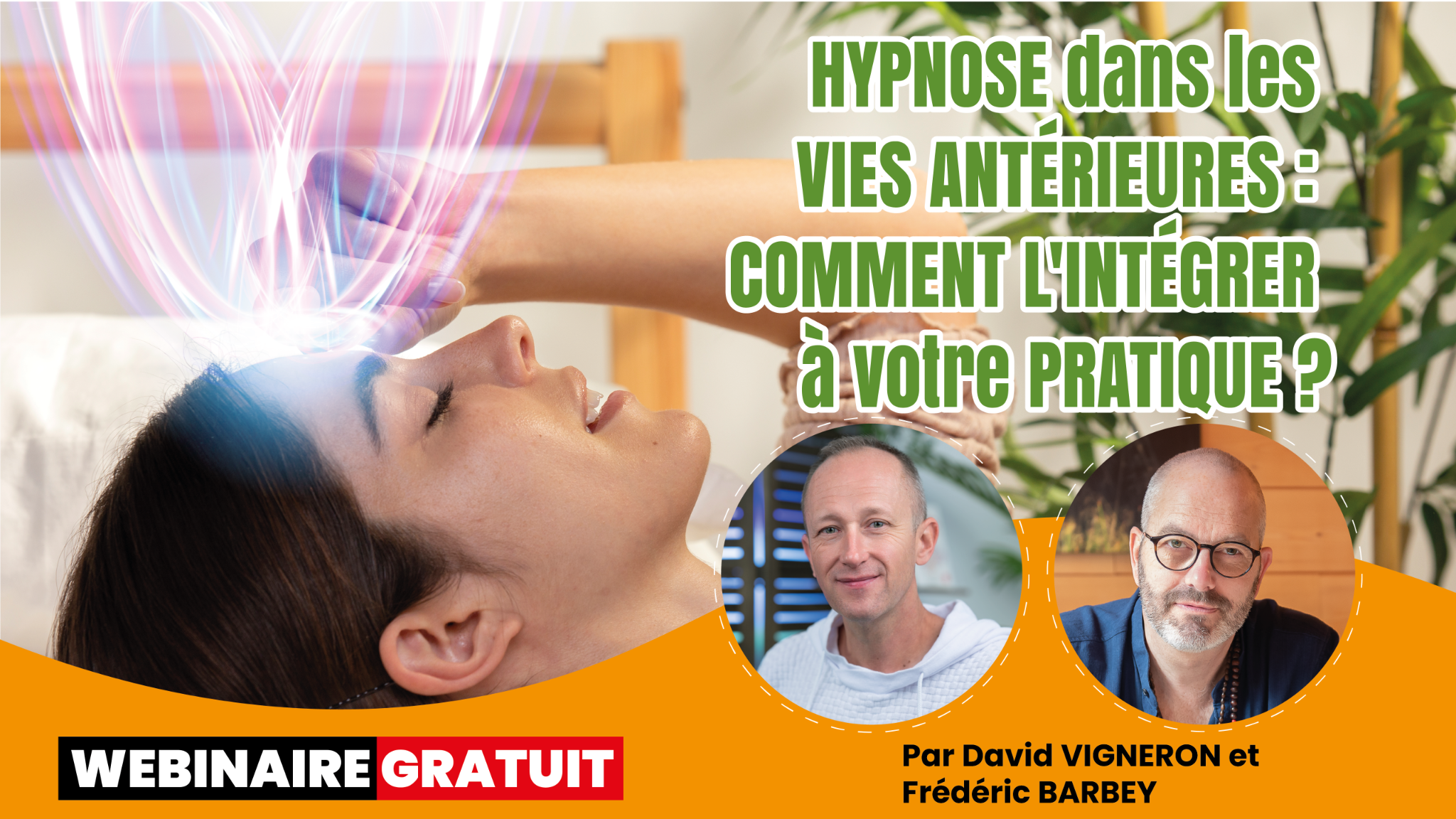 David Vigneron Facebook ad