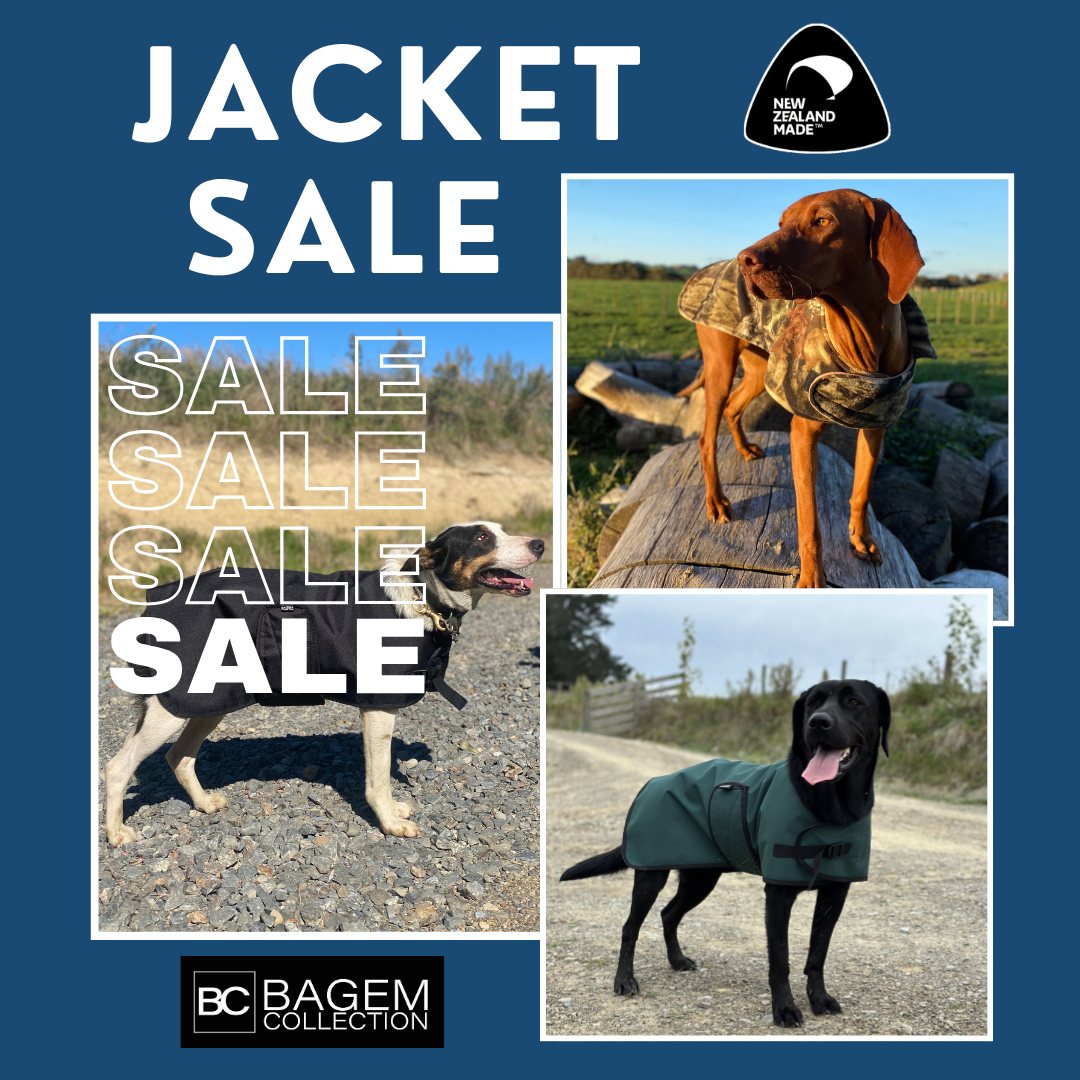 BagEm Collection Facebook ad