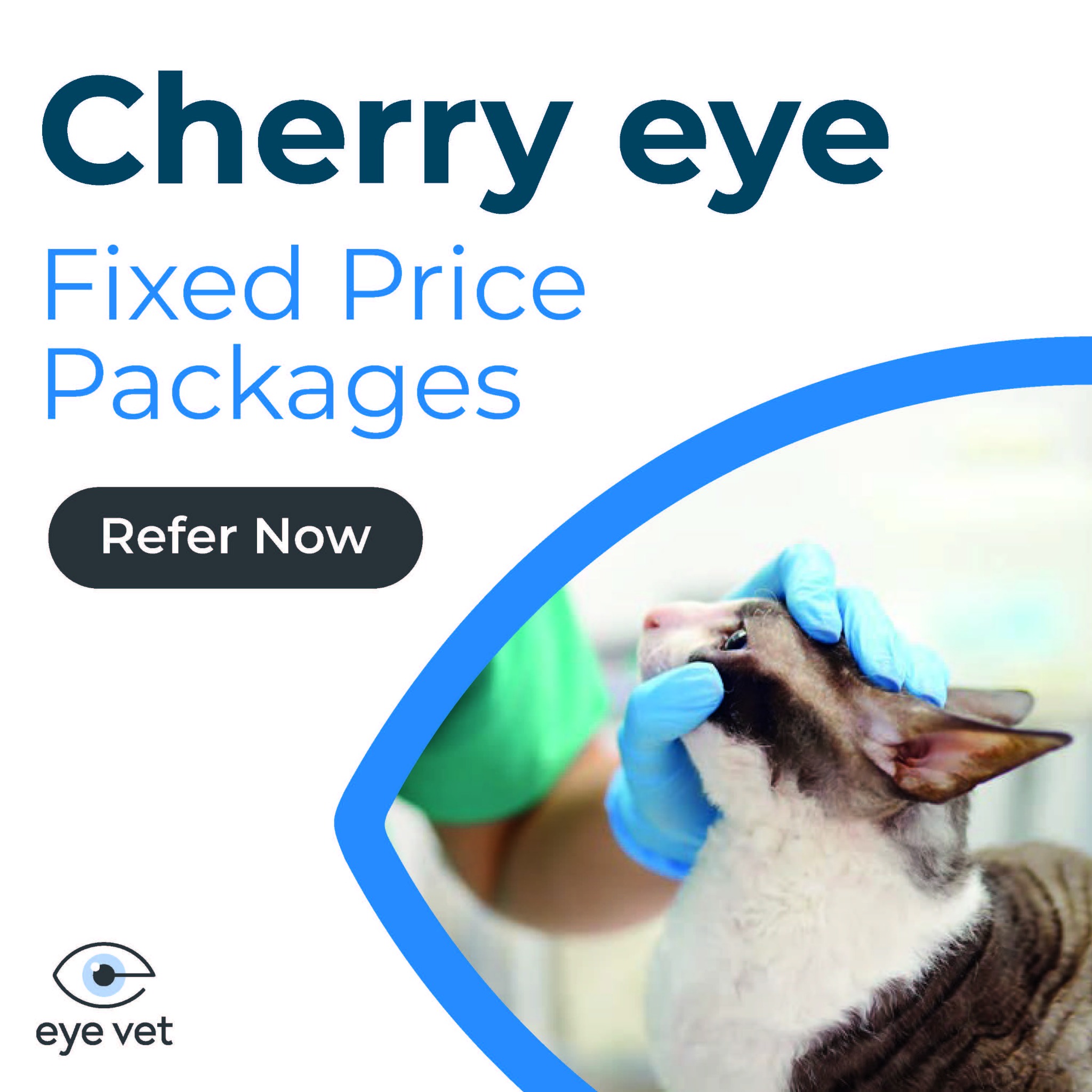 Eye Vet Referrals Facebook ad: Learn more about Eye Vet