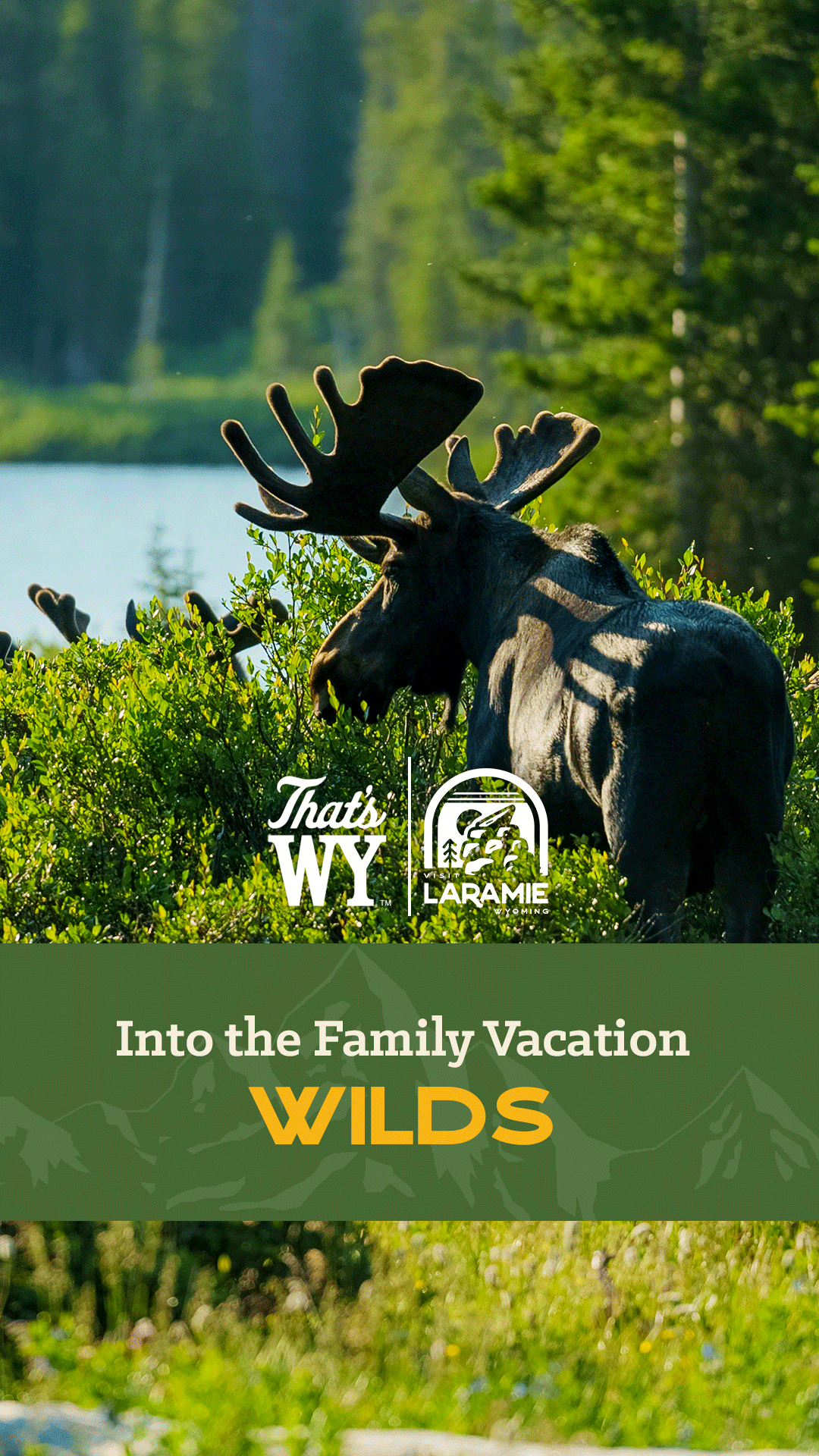 Visit Laramie Facebook ad from Apr 16, 2026