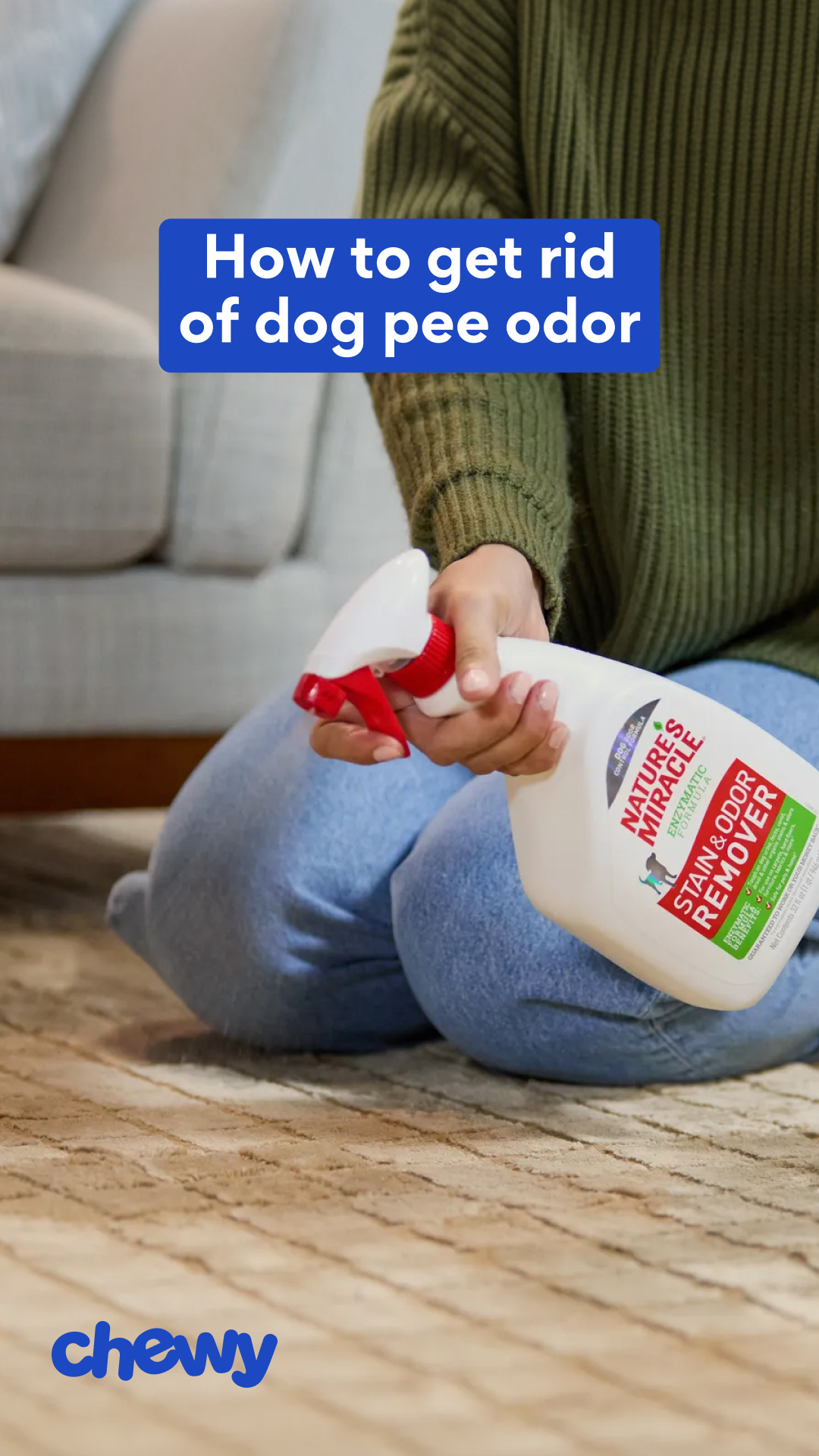 Chewy Facebook ad