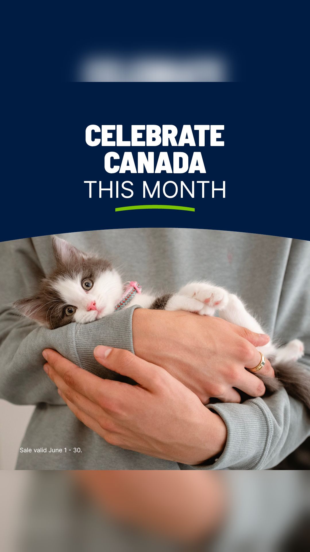 REN'S PETS Facebook ad