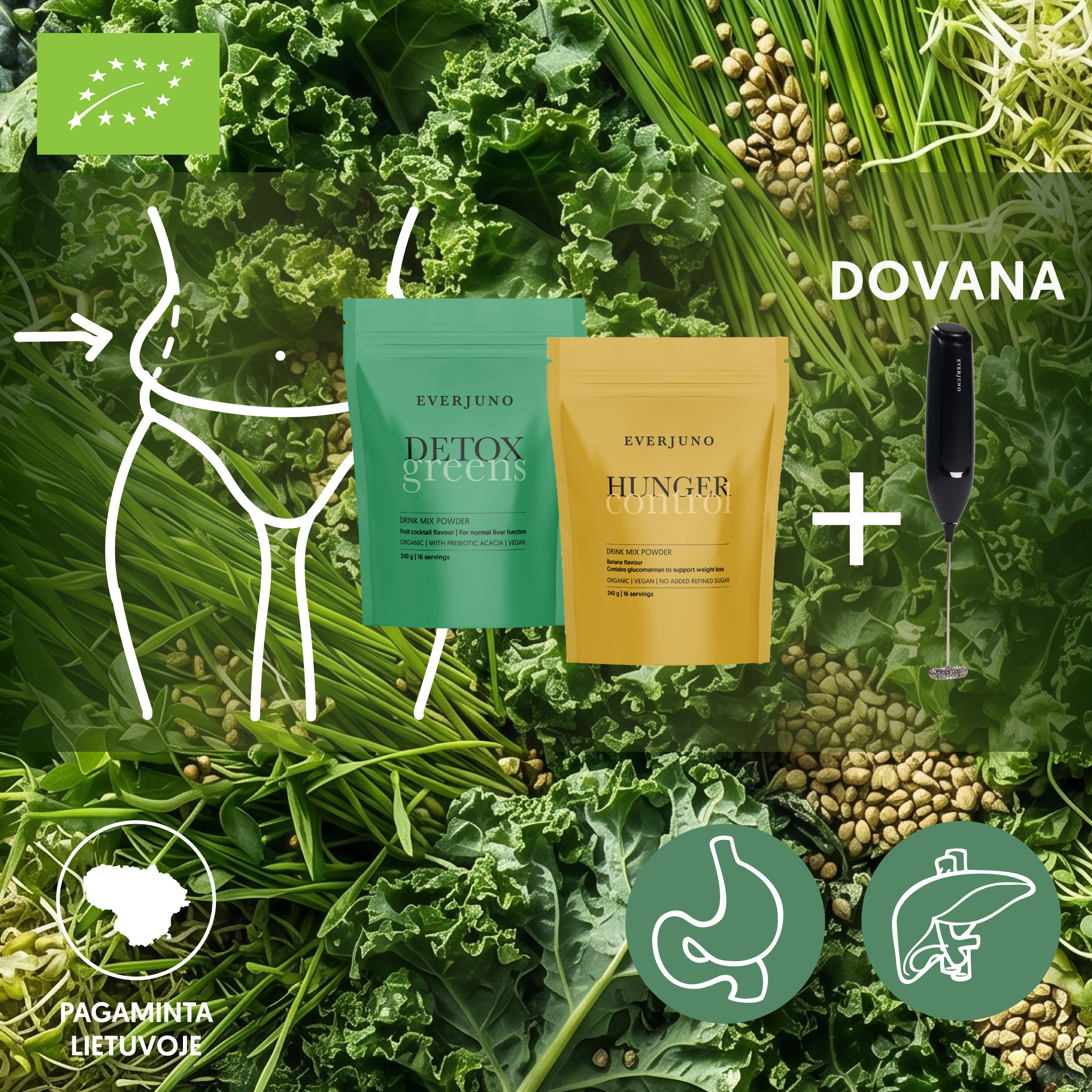 Everjuno.lt Facebook ad: Grįžk į rutiną su EVERJUNO