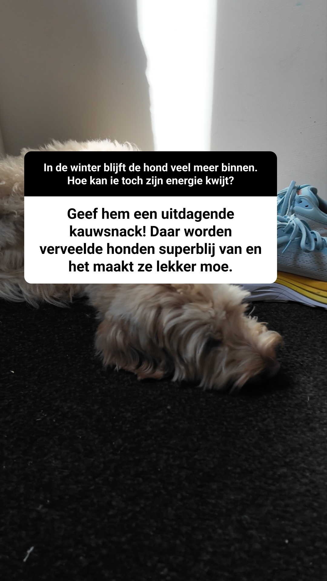 Bellobox Facebook ad
