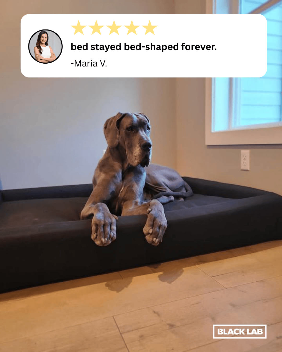 Black Lab Brands Facebook ad