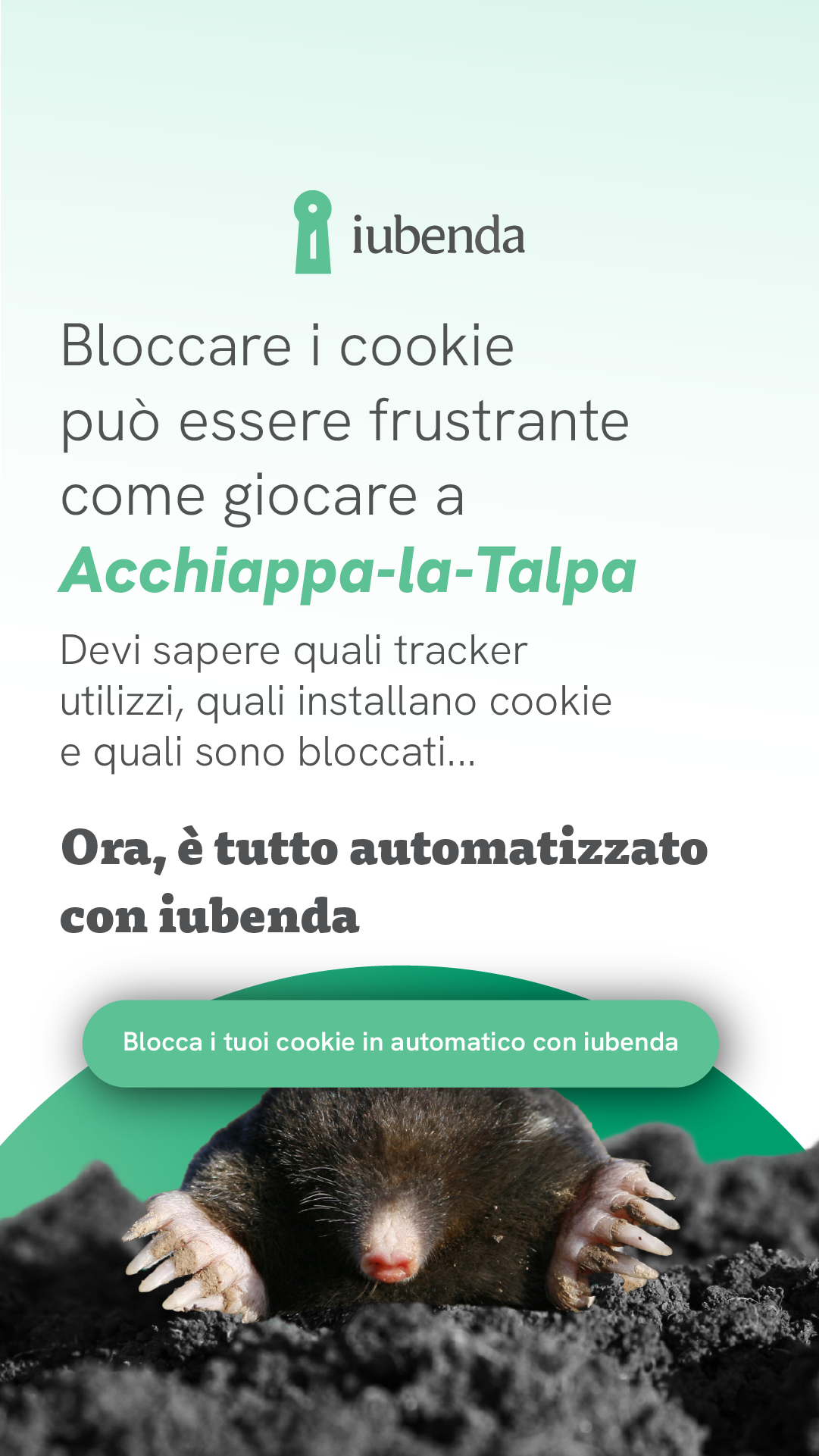iubenda - IT Facebook ad