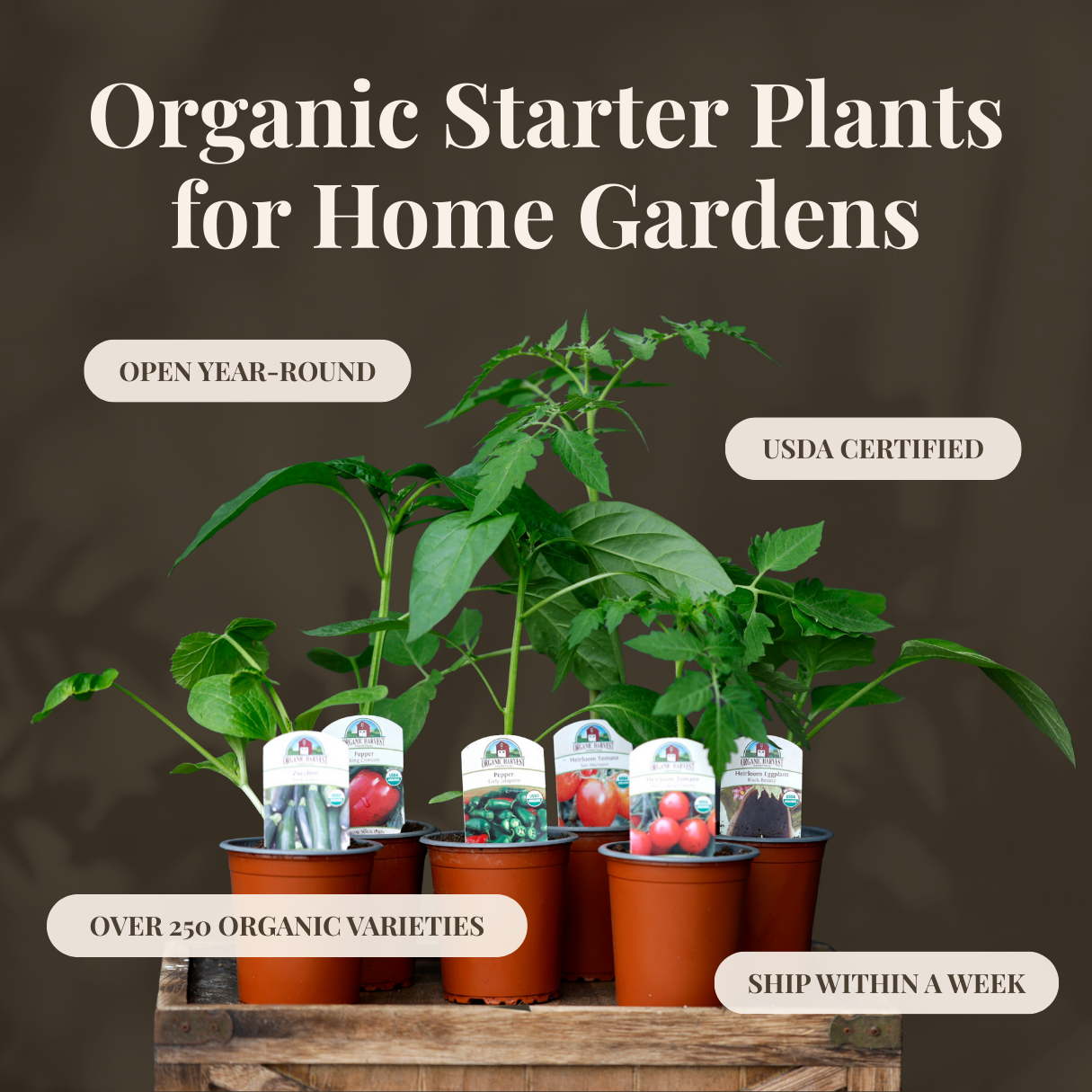 Organic Harvest Facebook ad