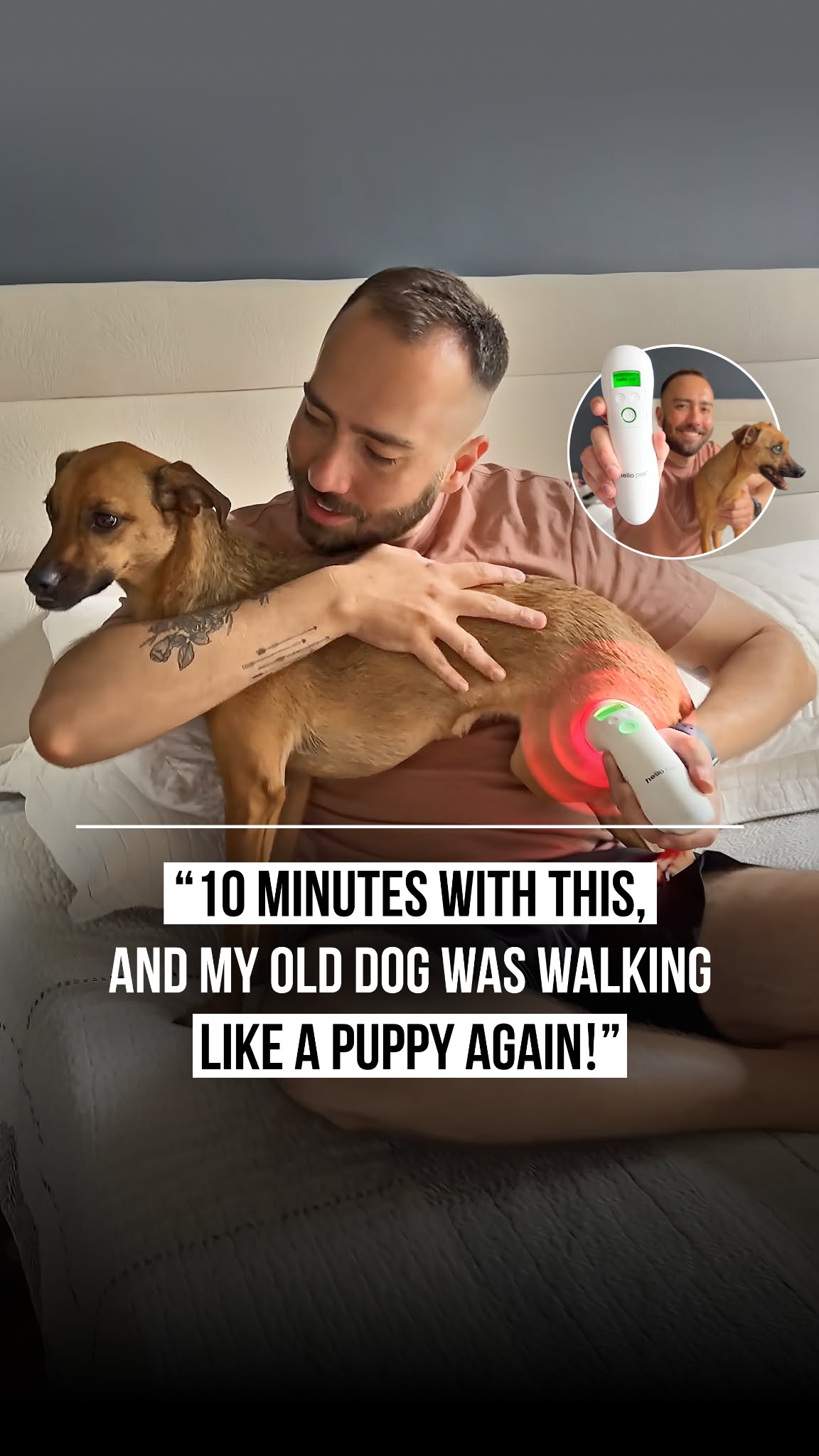 Helio Pet Facebook ad