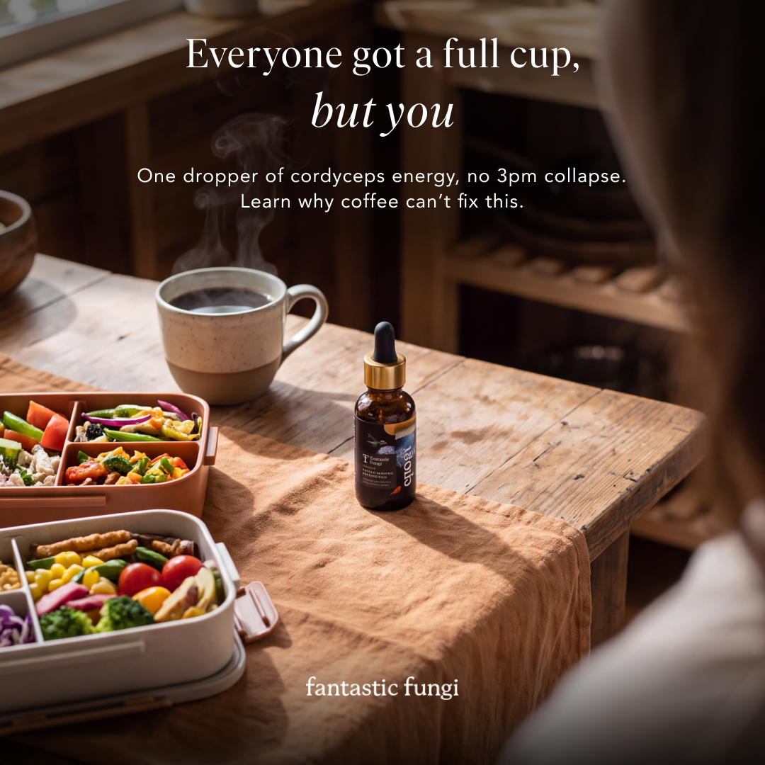 Fantastic Fungi Facebook ad