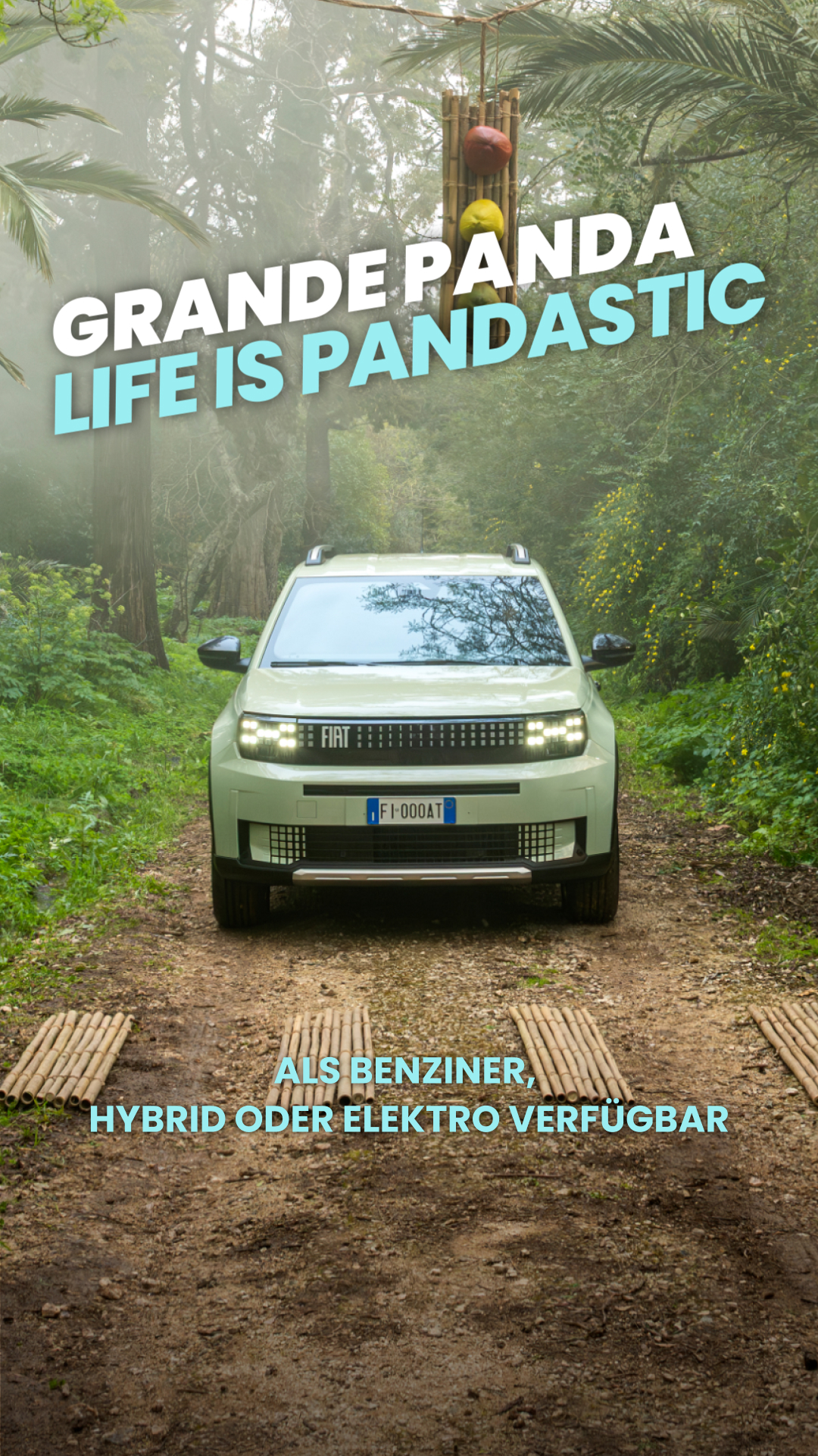 Fiat Facebook ad from Jun 3, 2026