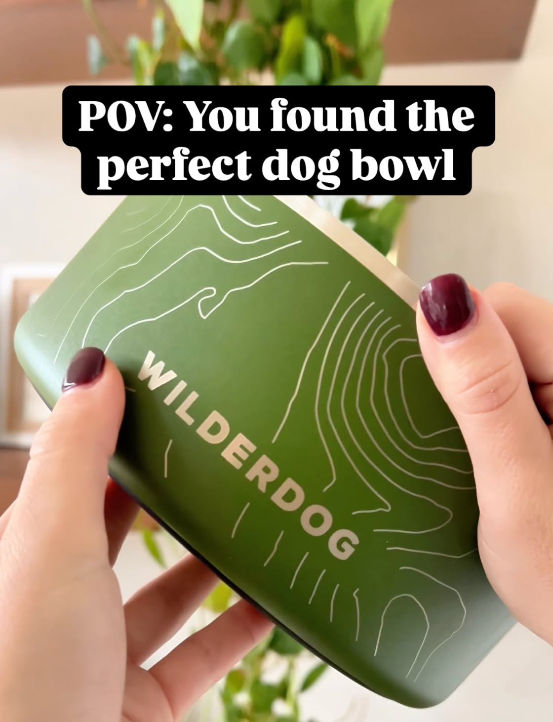 Wilderdog Facebook ad: Stainless Steel Dog Bowl
