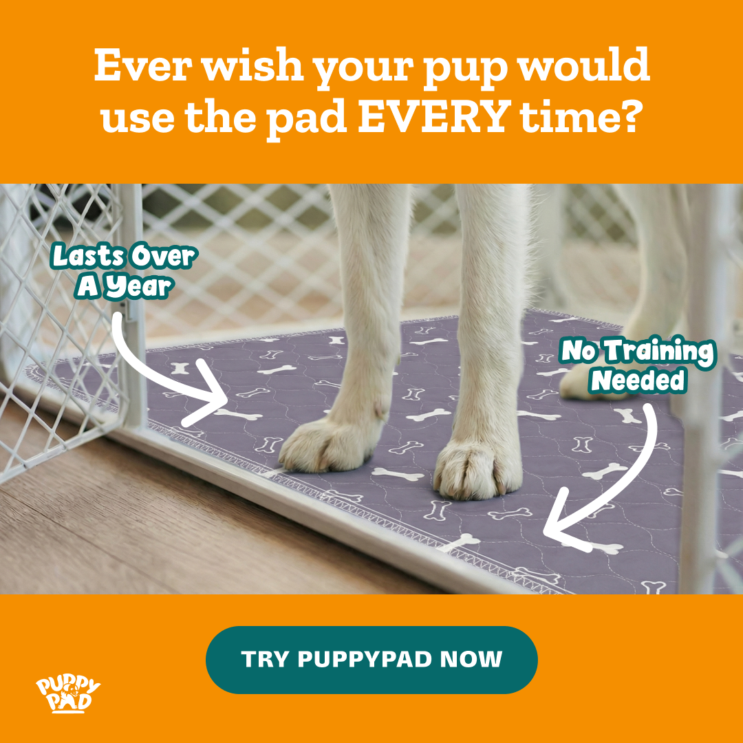 PuppyPad Facebook ad
