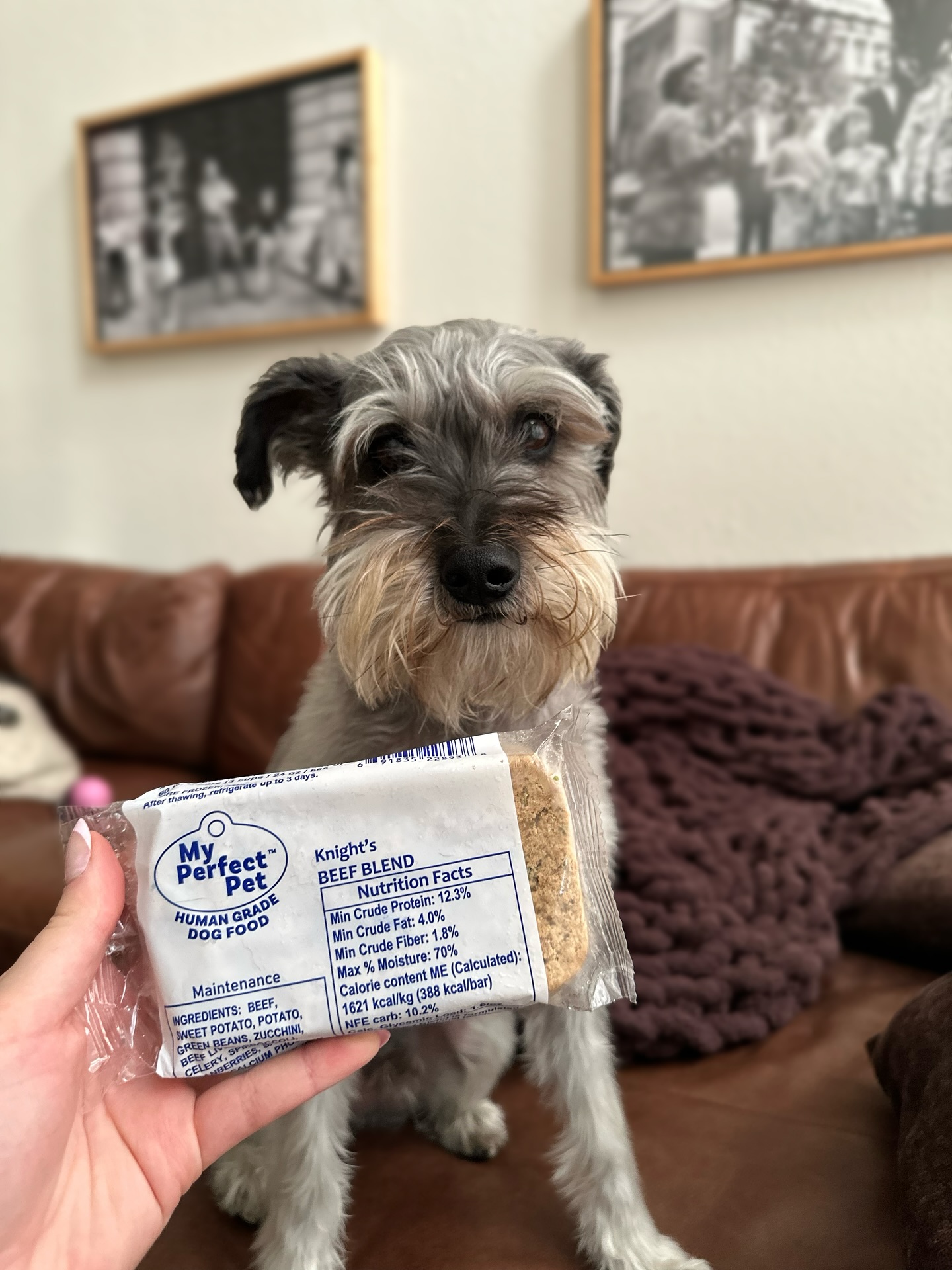 My Perfect Pet Facebook ad: Shop by Pet or Diet