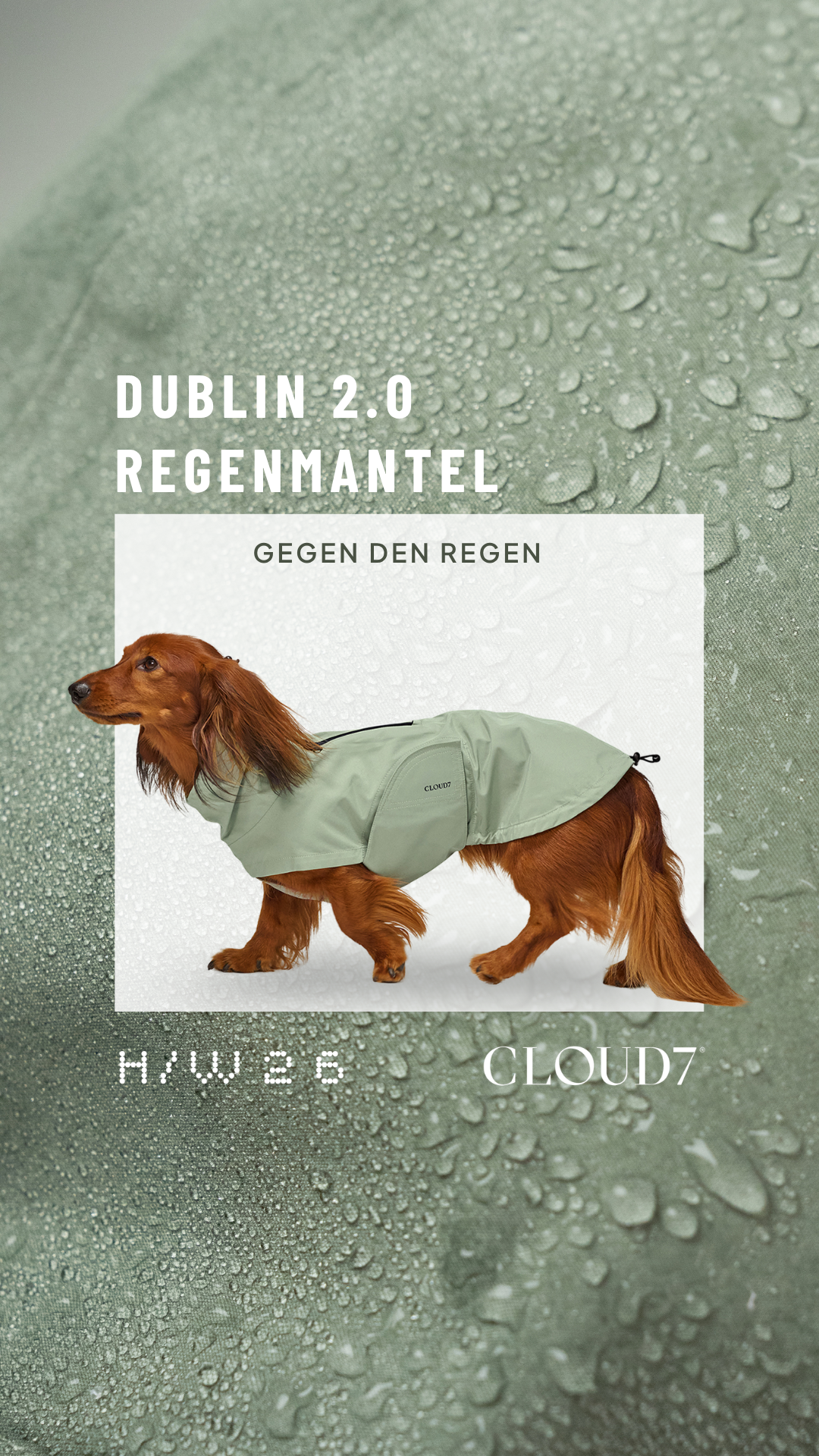 Cloud7 Facebook ad: Wasserdicht