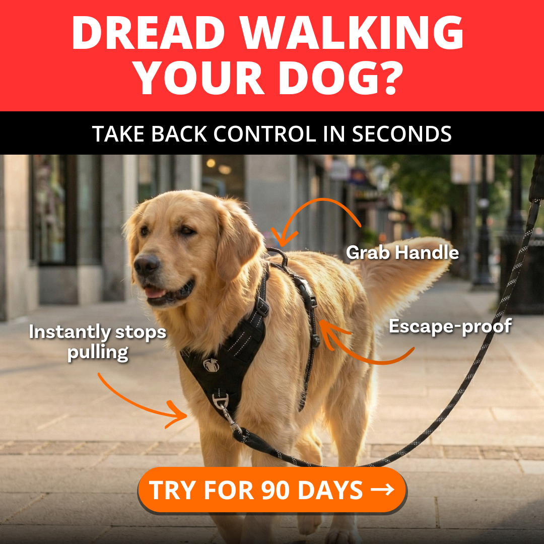 PawSafe Facebook ad
