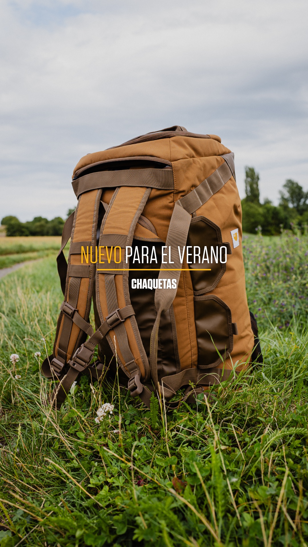 Carhartt Europe Facebook ad